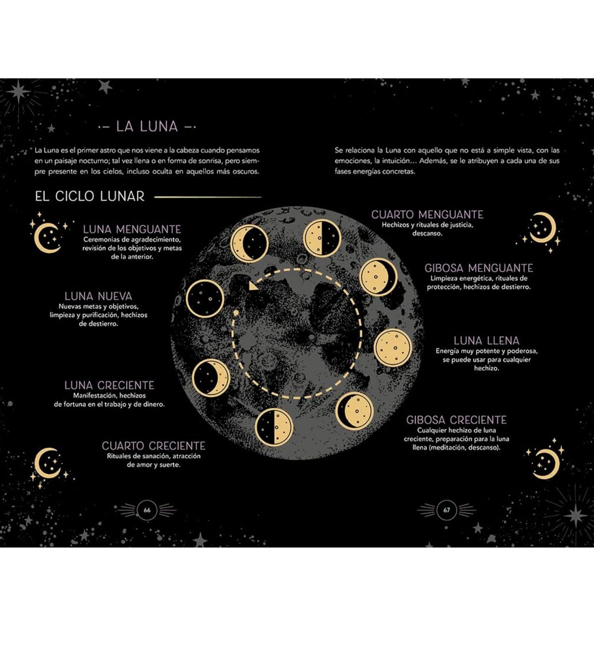 Bruja de noche