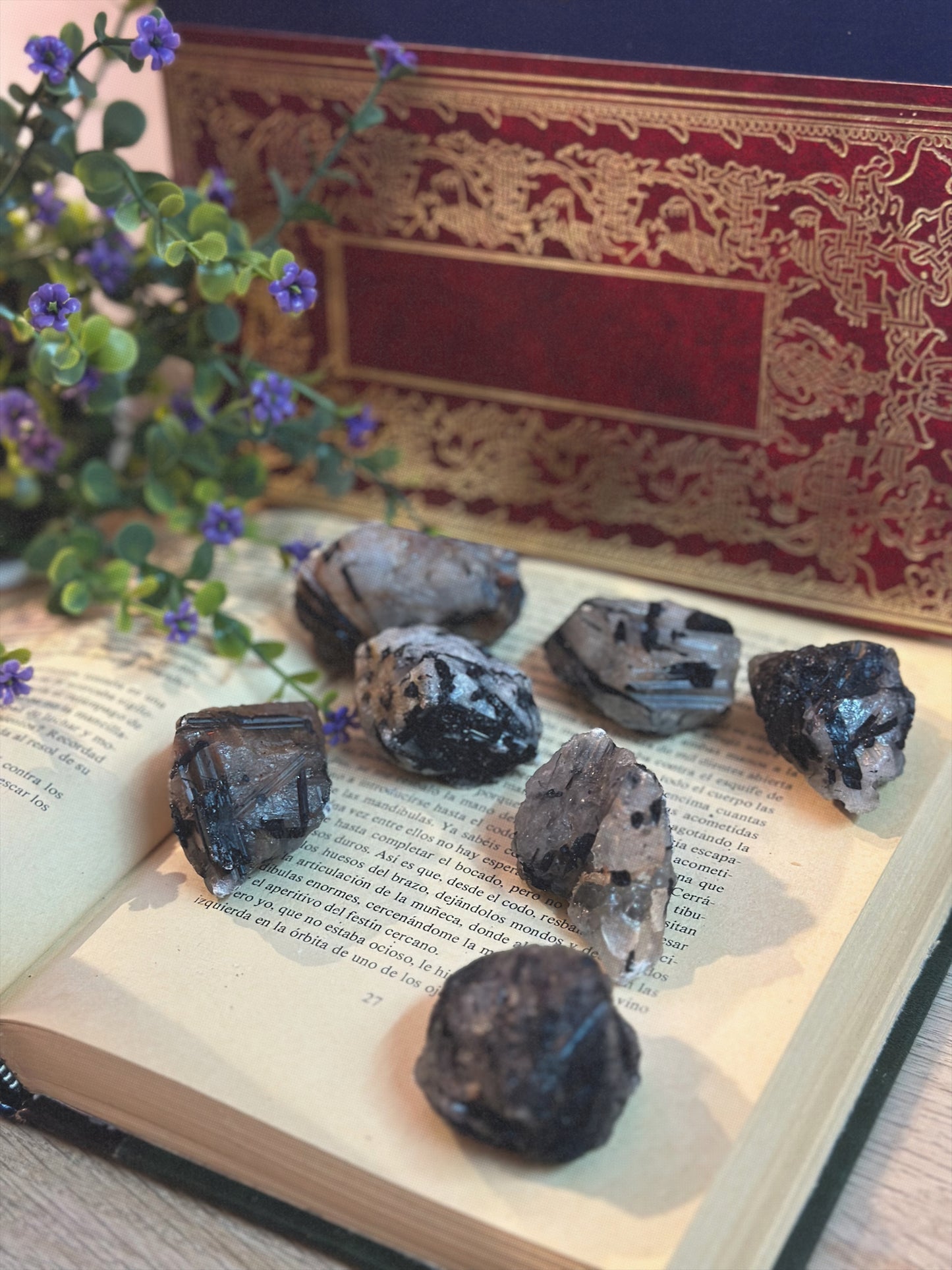 Cuarzo Turmalina en Matrix