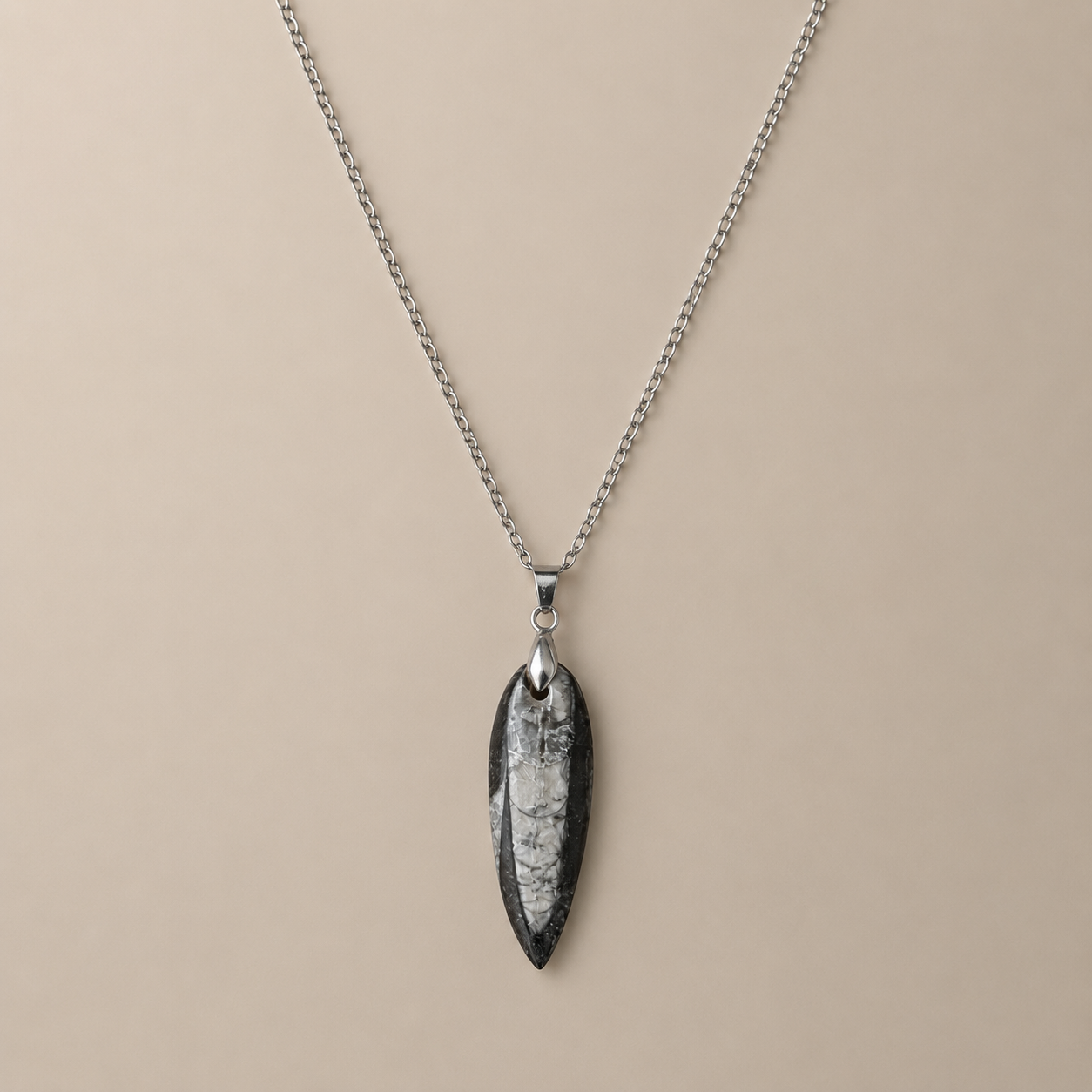 Collar Orthocera