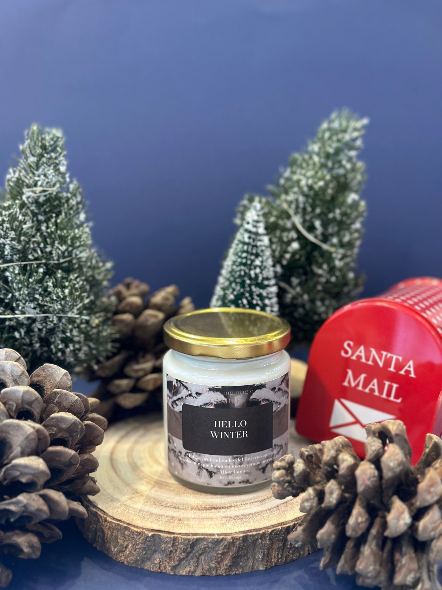 Vela hello winter