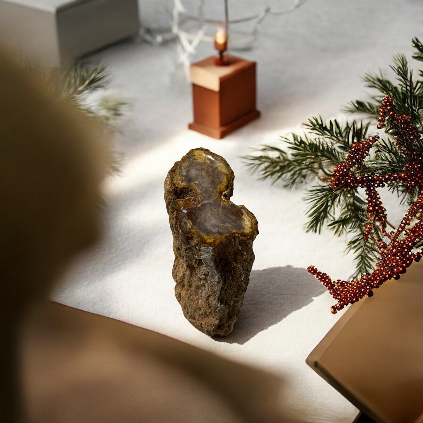 Xilopalo/ madera fosilizada