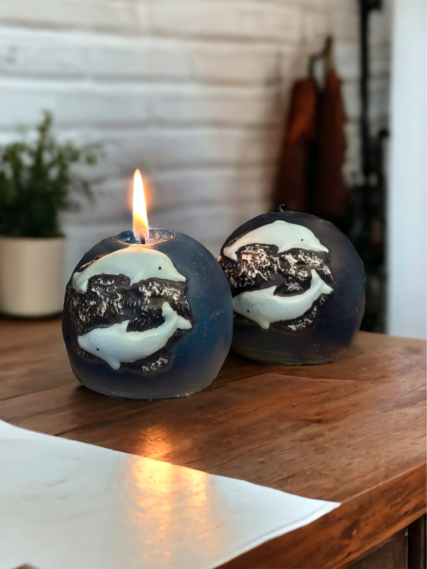 Vela luna llena delfín