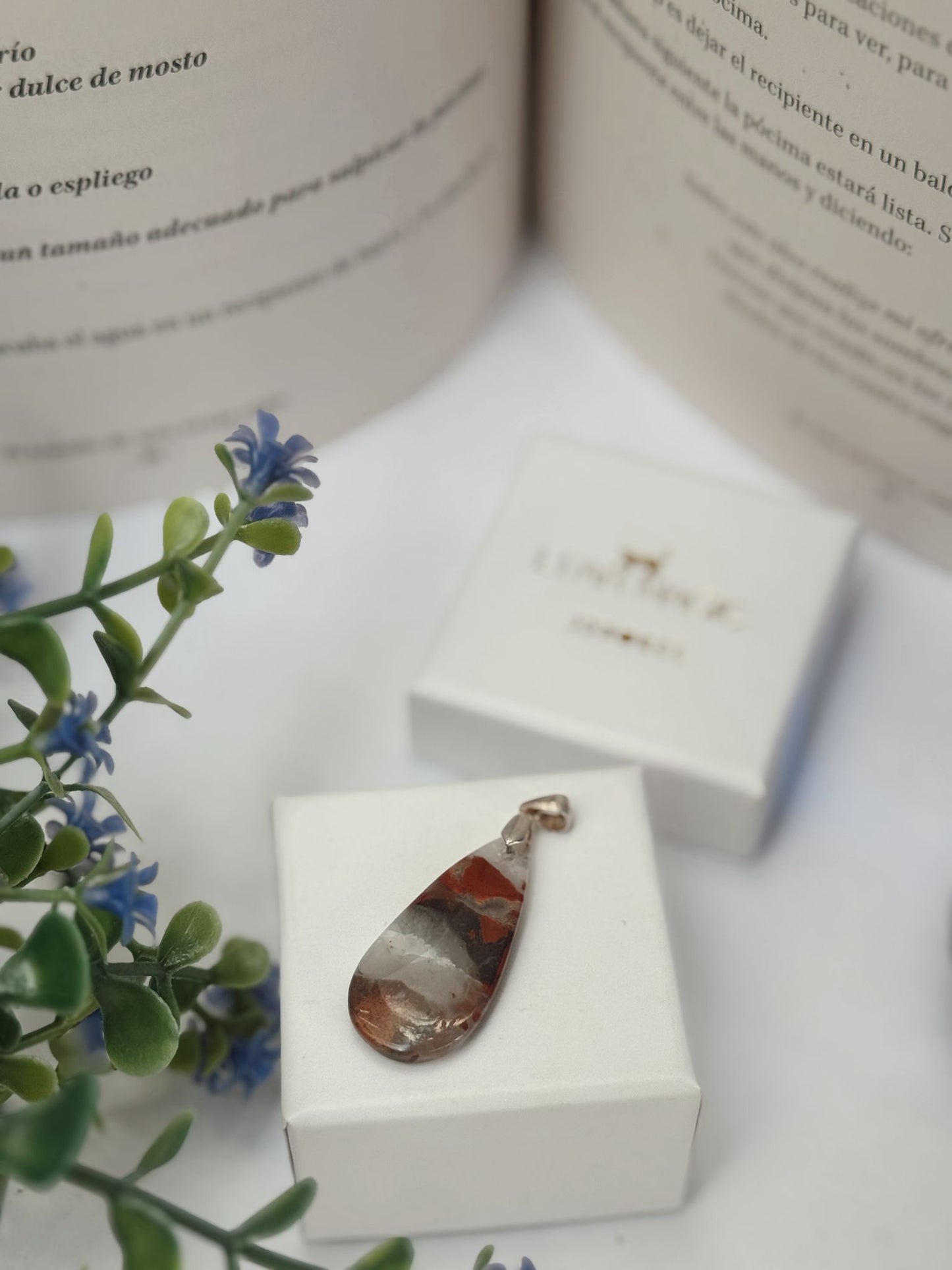 Colgante de Jaspe Rojo en Plata de Ley 925