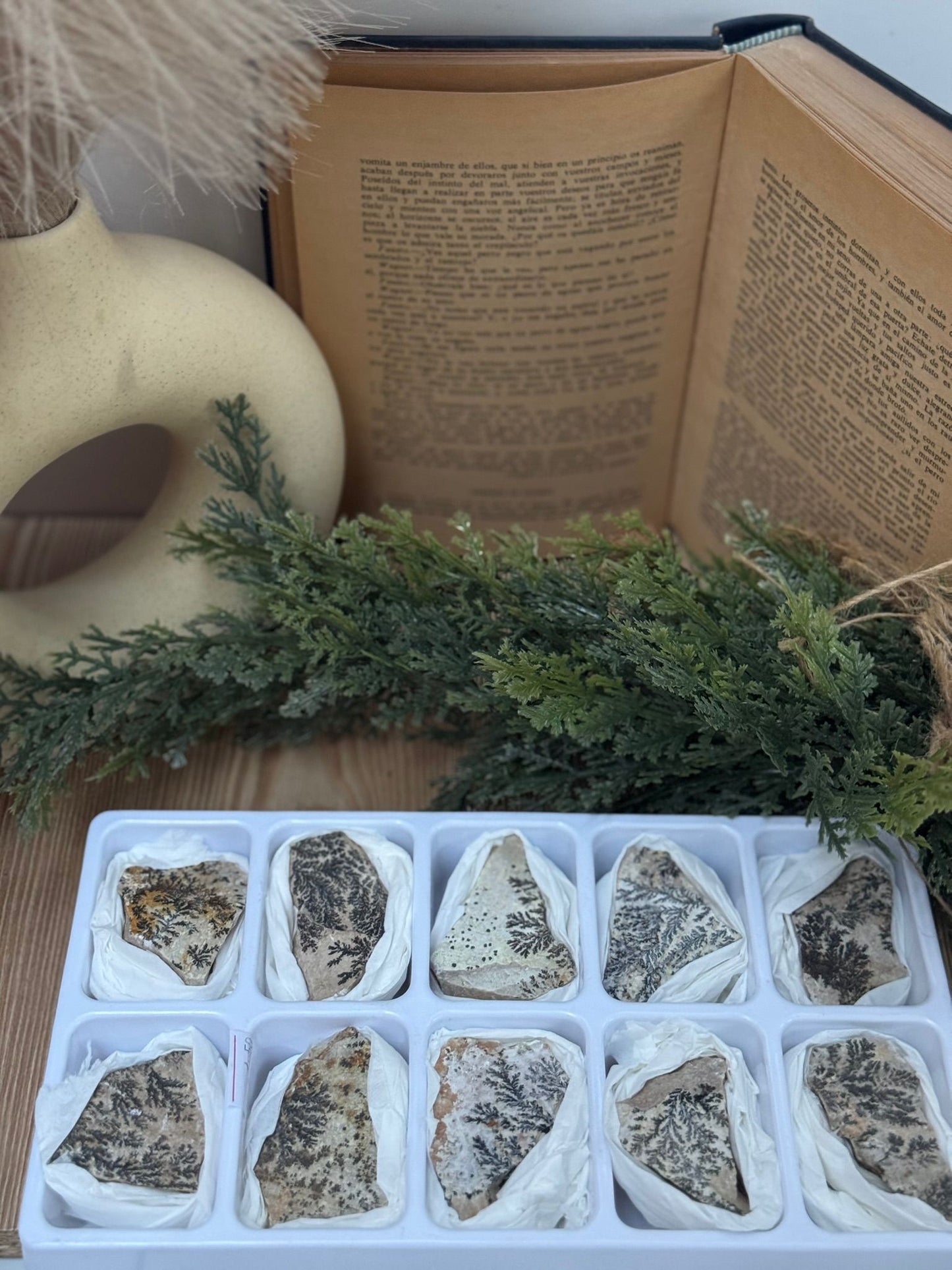 Mineral Pirolusita Dendrítica
