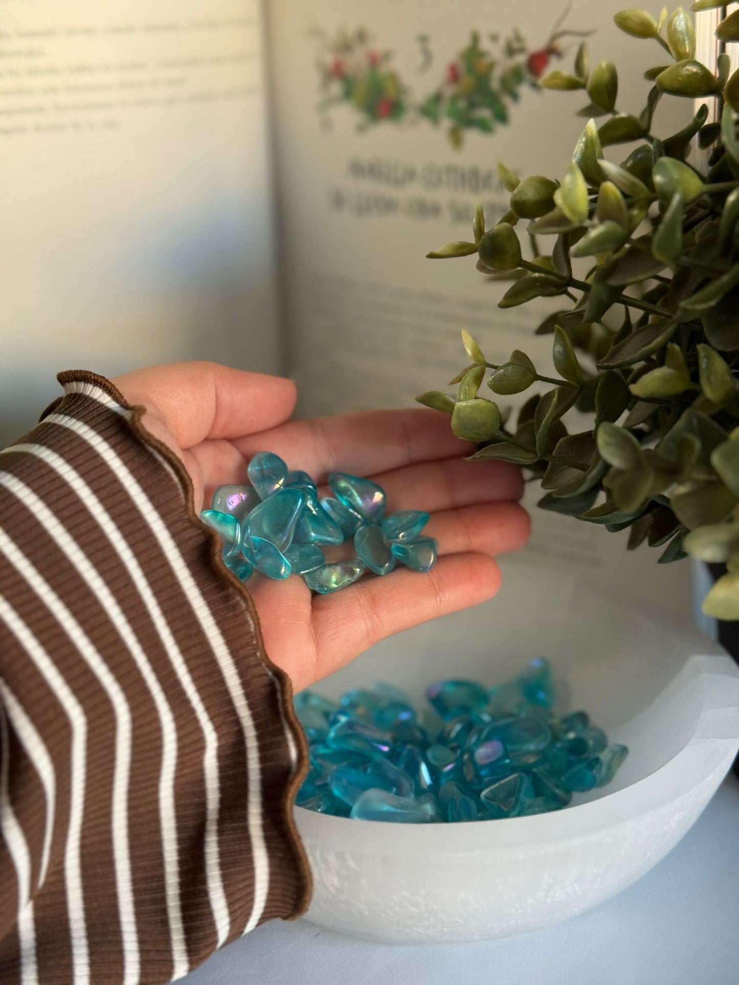 Rodado de Aqua aura mini.