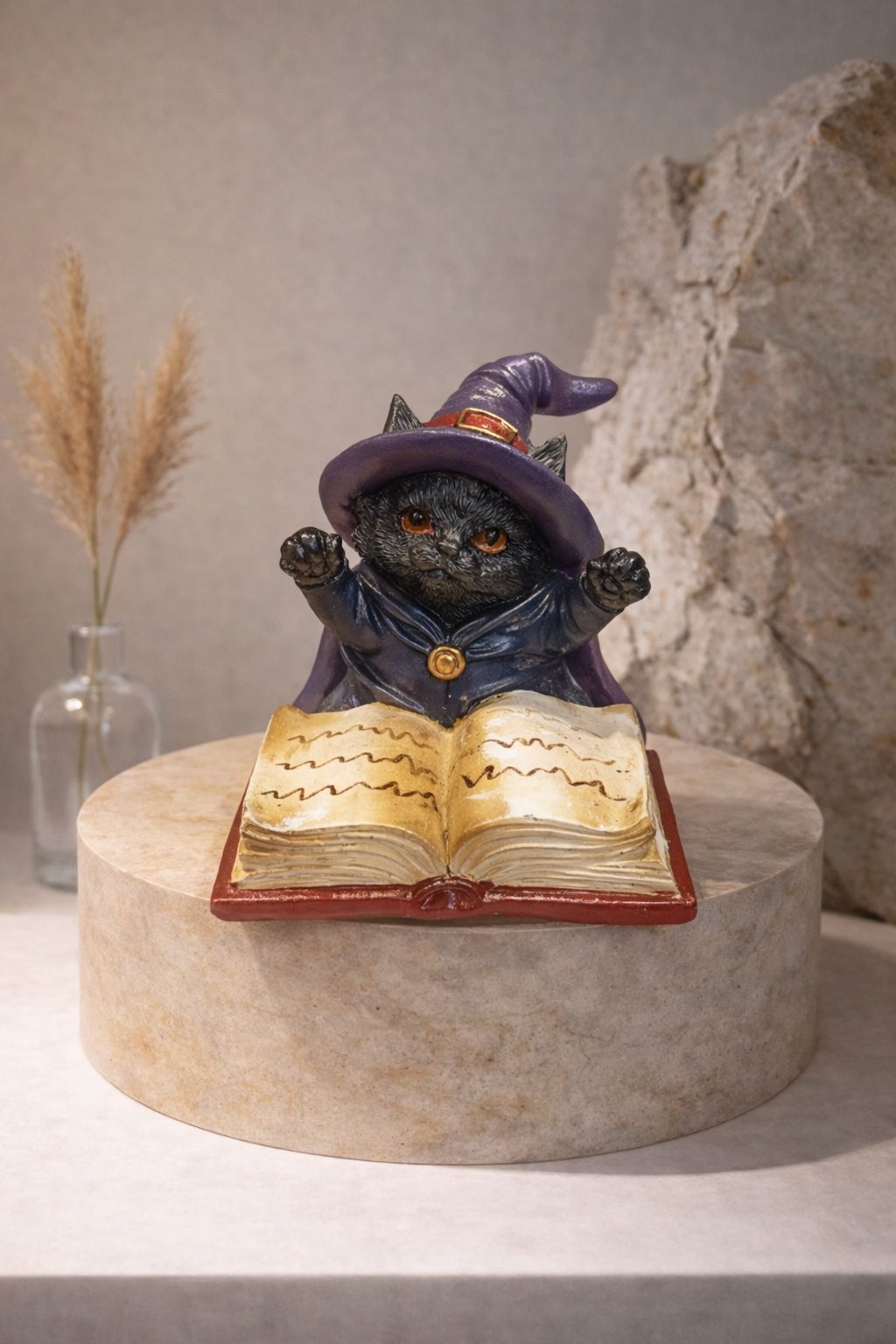 Gato Estudiante Morado.