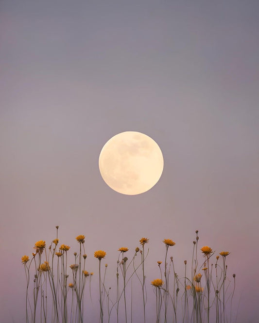 Luna de la cosecha y eclipse