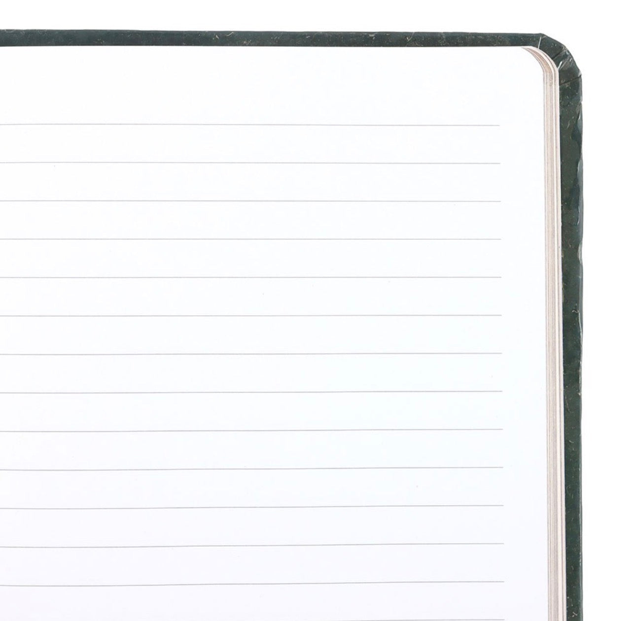Libreta A5 GREEN FAWN