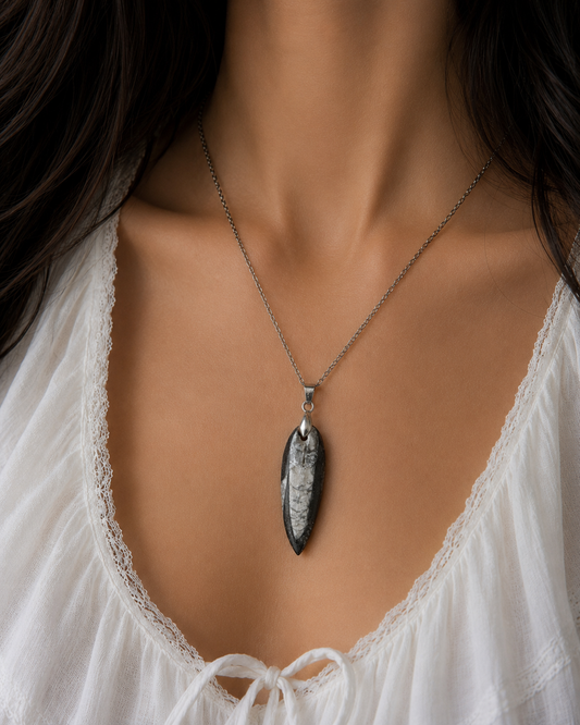 Collar Orthocera