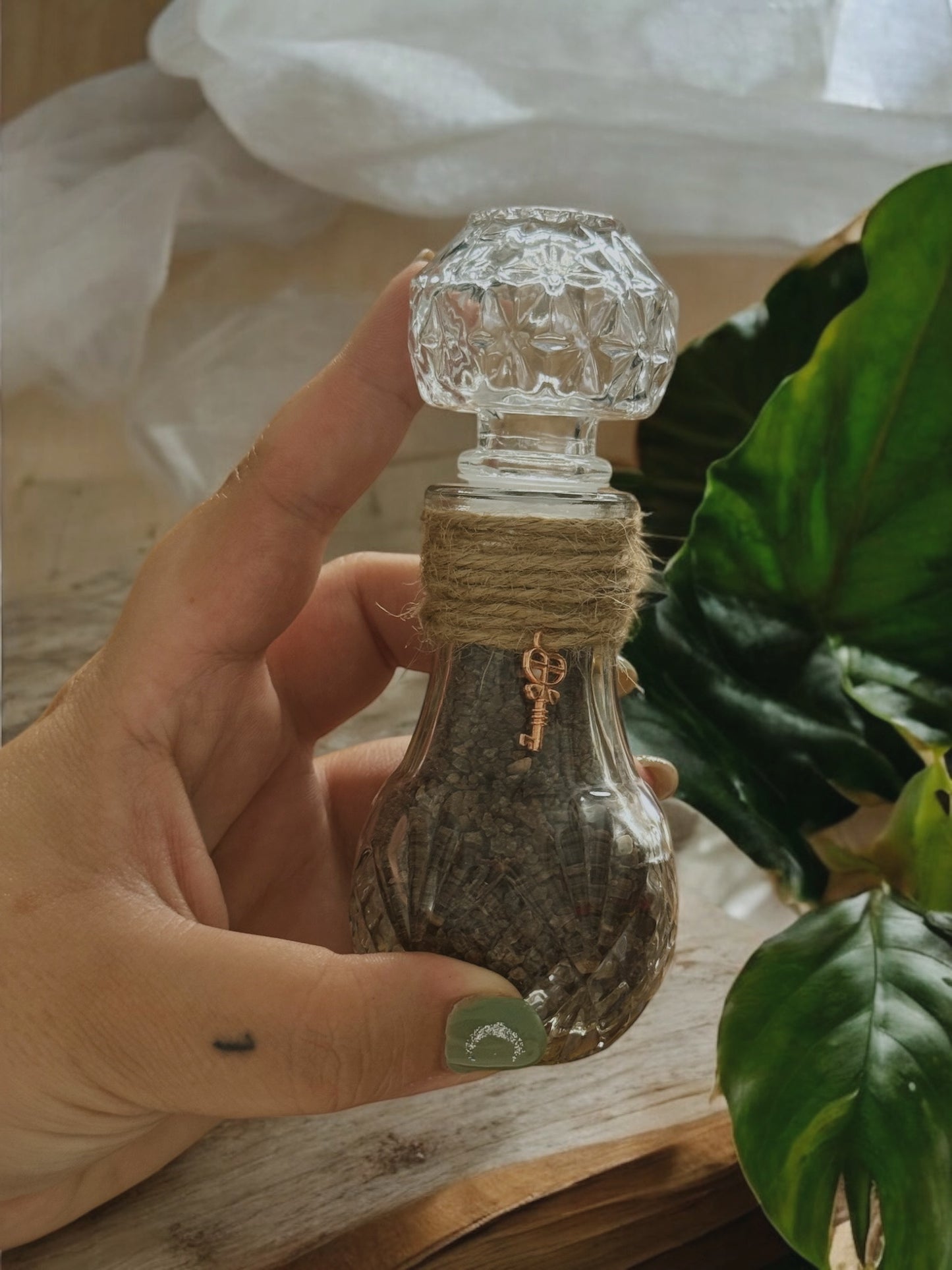 Sal Negra (protección )