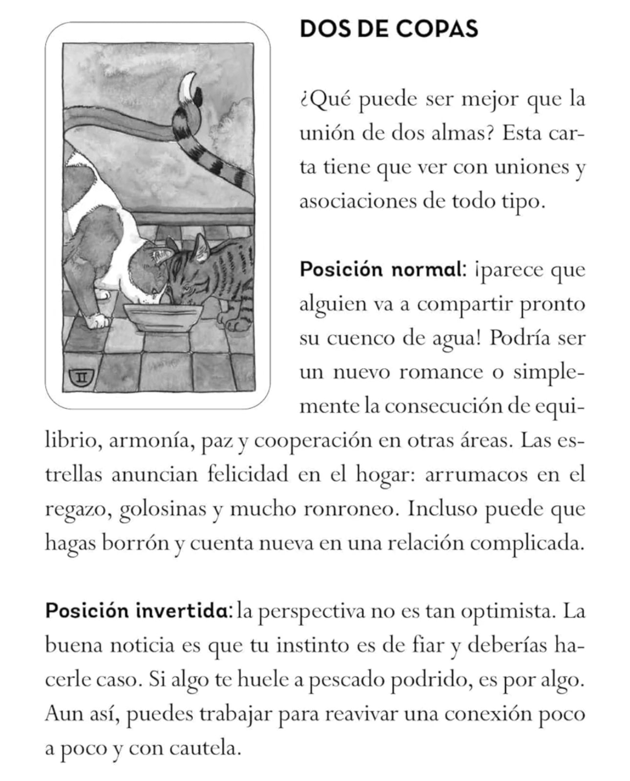 El tarot de los gatos