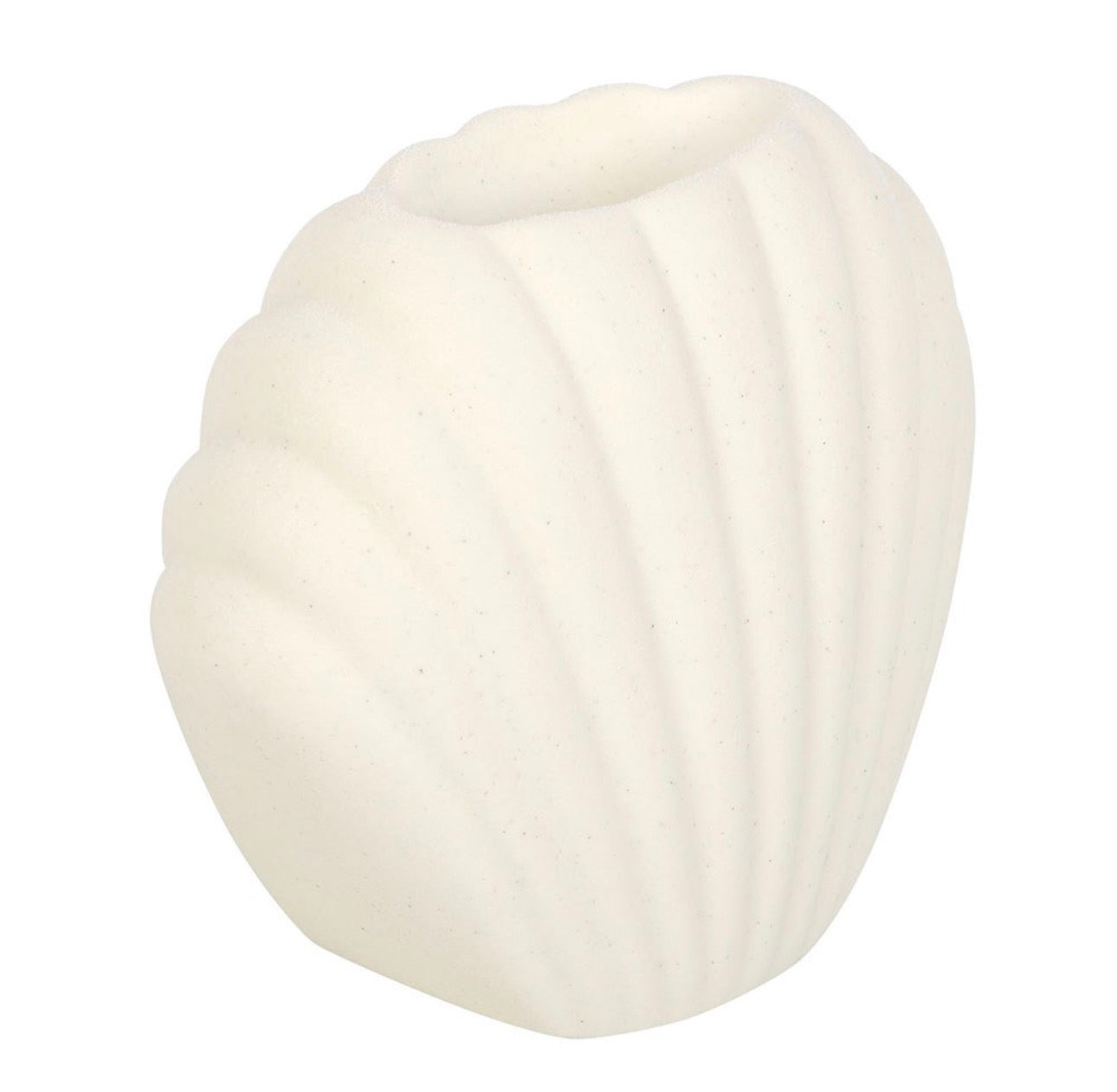 QUEMADOR DE ACEITE DE CONCHAS MARINAS