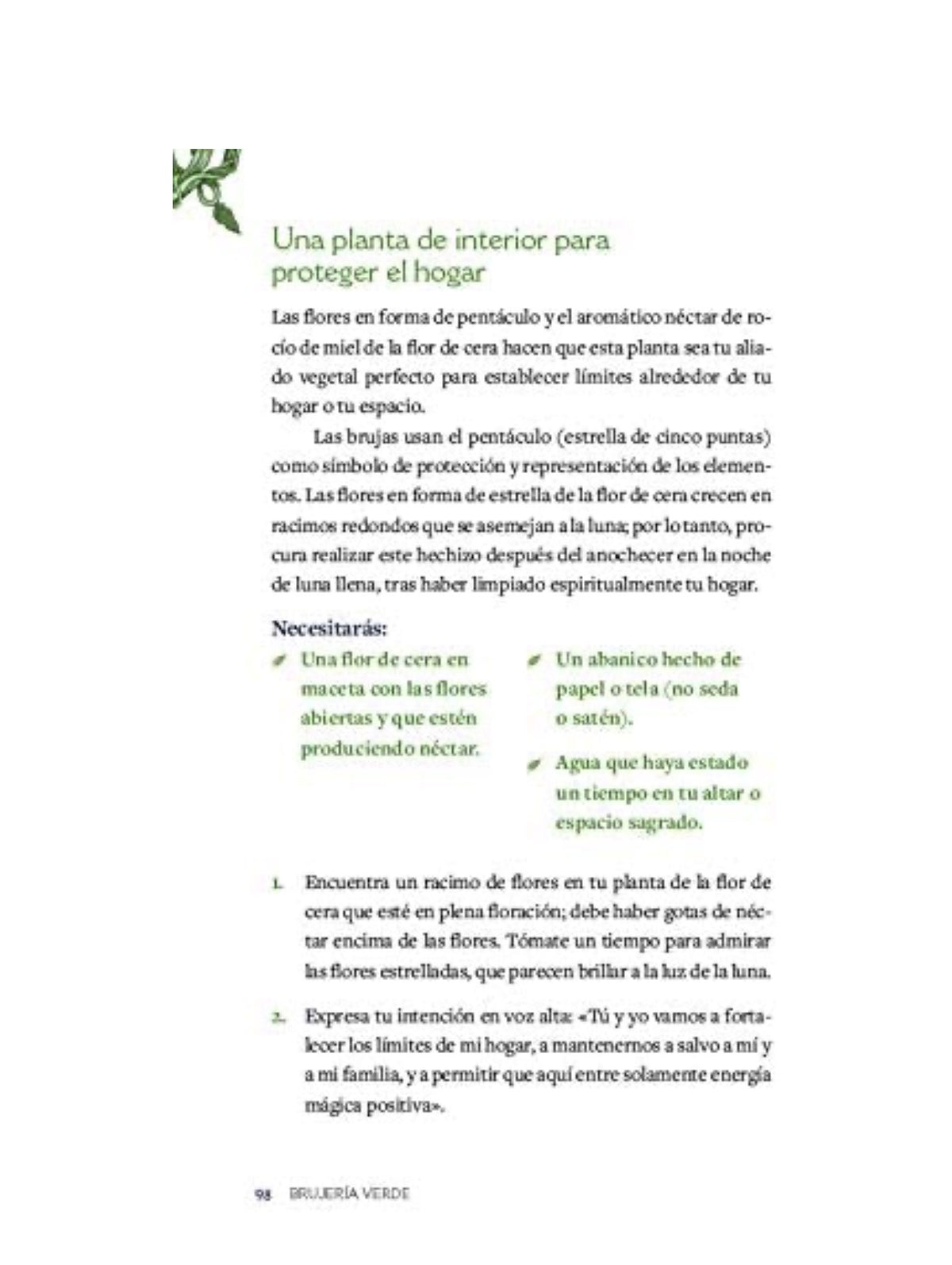 Brujería verde: Descubre la magia de las plantas, hierbas, cristales y más