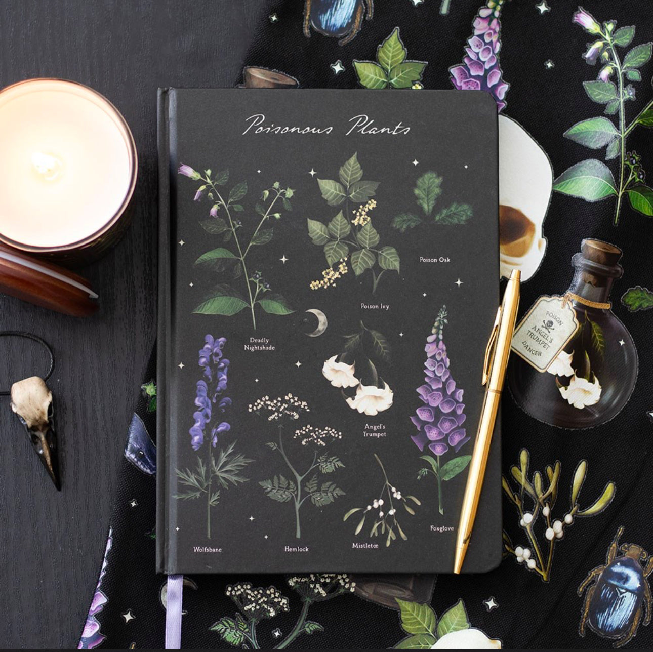 Libreta A5 de plantas venenosas