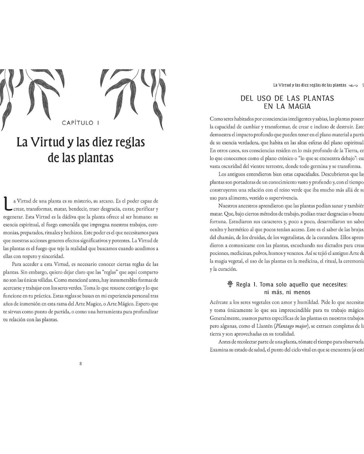 Recetario de la Bruja Verde: Fórmulas mágicas, medicinales y rituales del Sendero Esmeralda