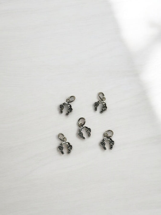 Colgante Herradura de la suerte de Plata