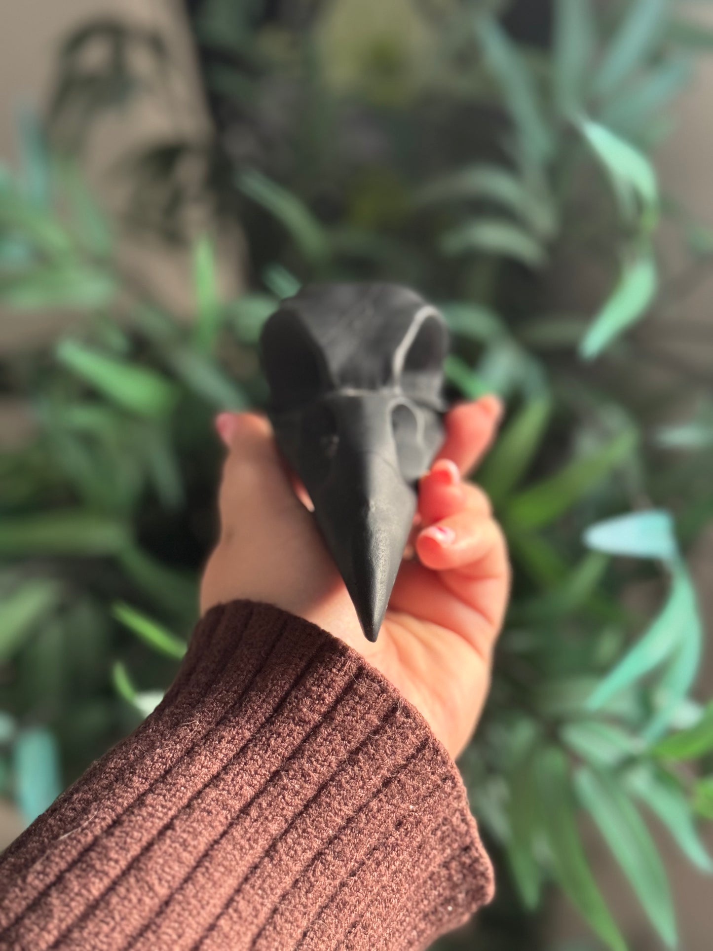 Cabeza de Cuervo de Obsidiana Negra plateada en bruto