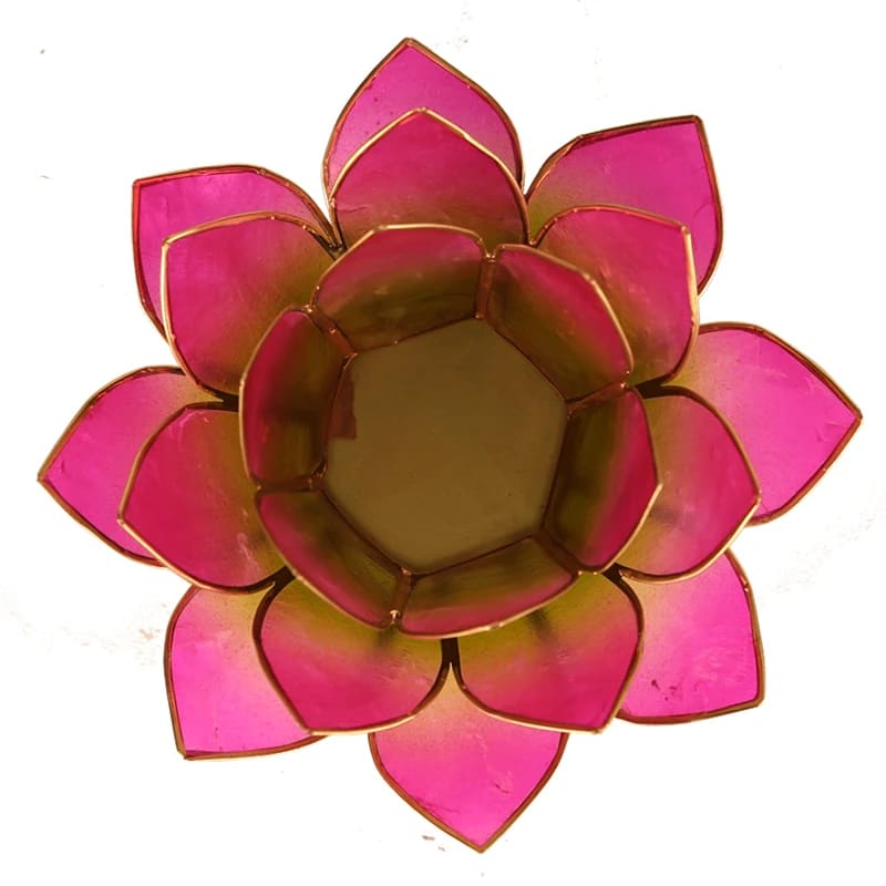 Loto Iluminación -2 colores Verde/rosa