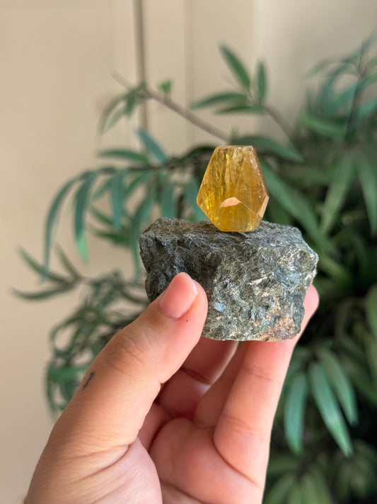 Crecimiento de fluorita amarilla en base de piedra