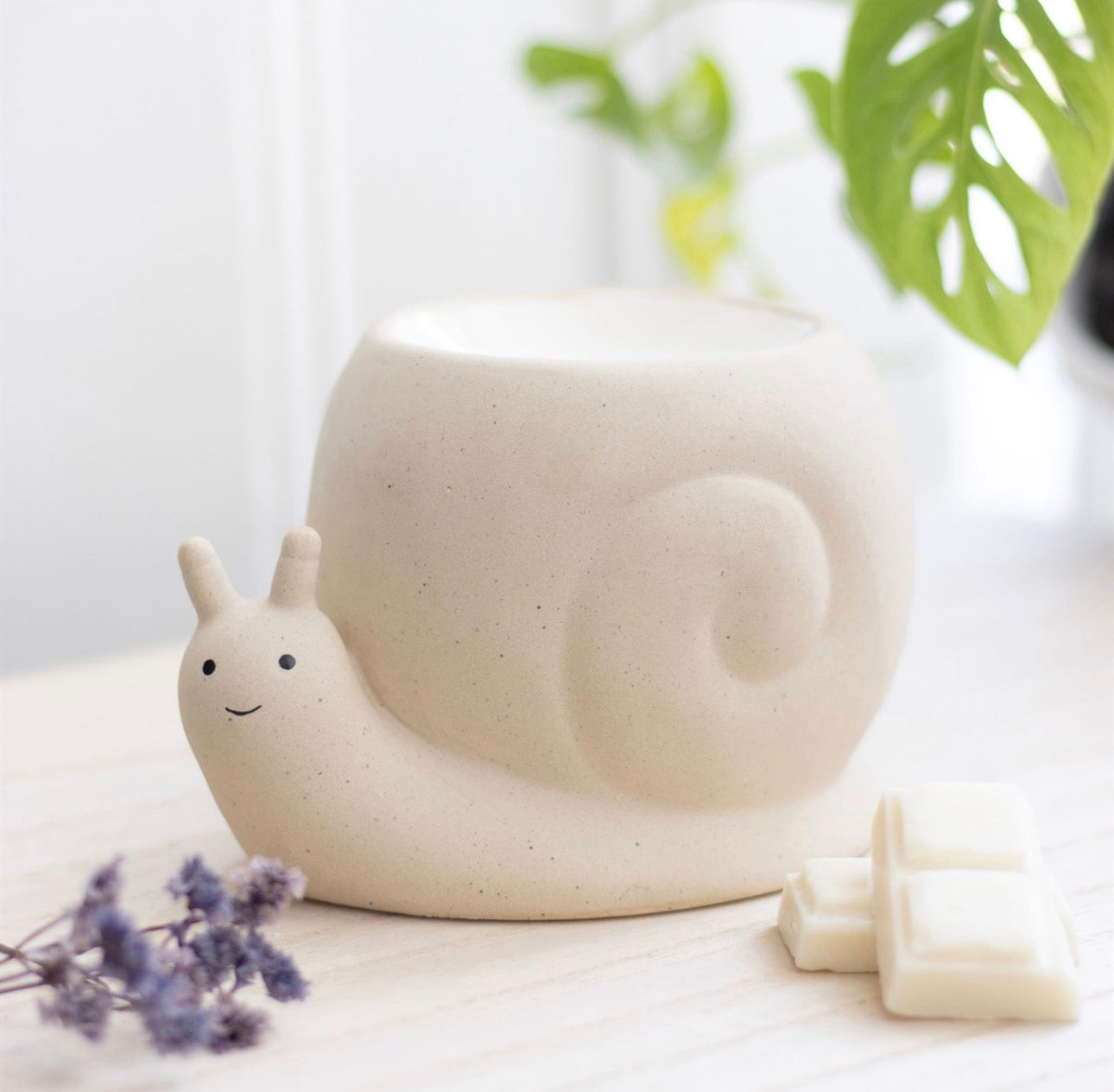 QUEMADOR DE ACEITE DE CARACOL