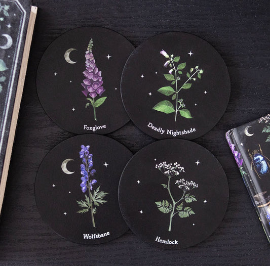 Juego de posavasos de plantas