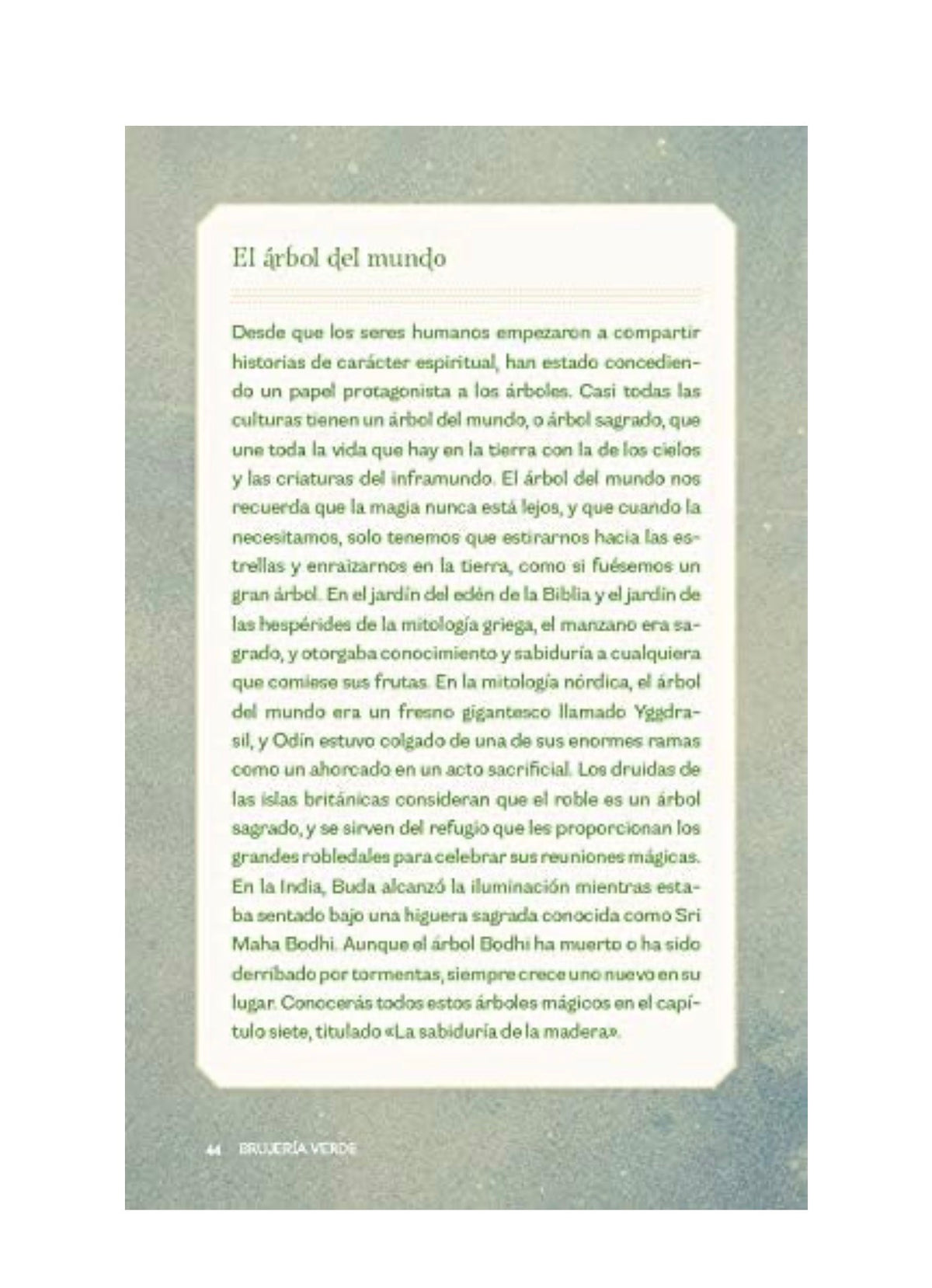 Brujería verde: Descubre la magia de las plantas, hierbas, cristales y más