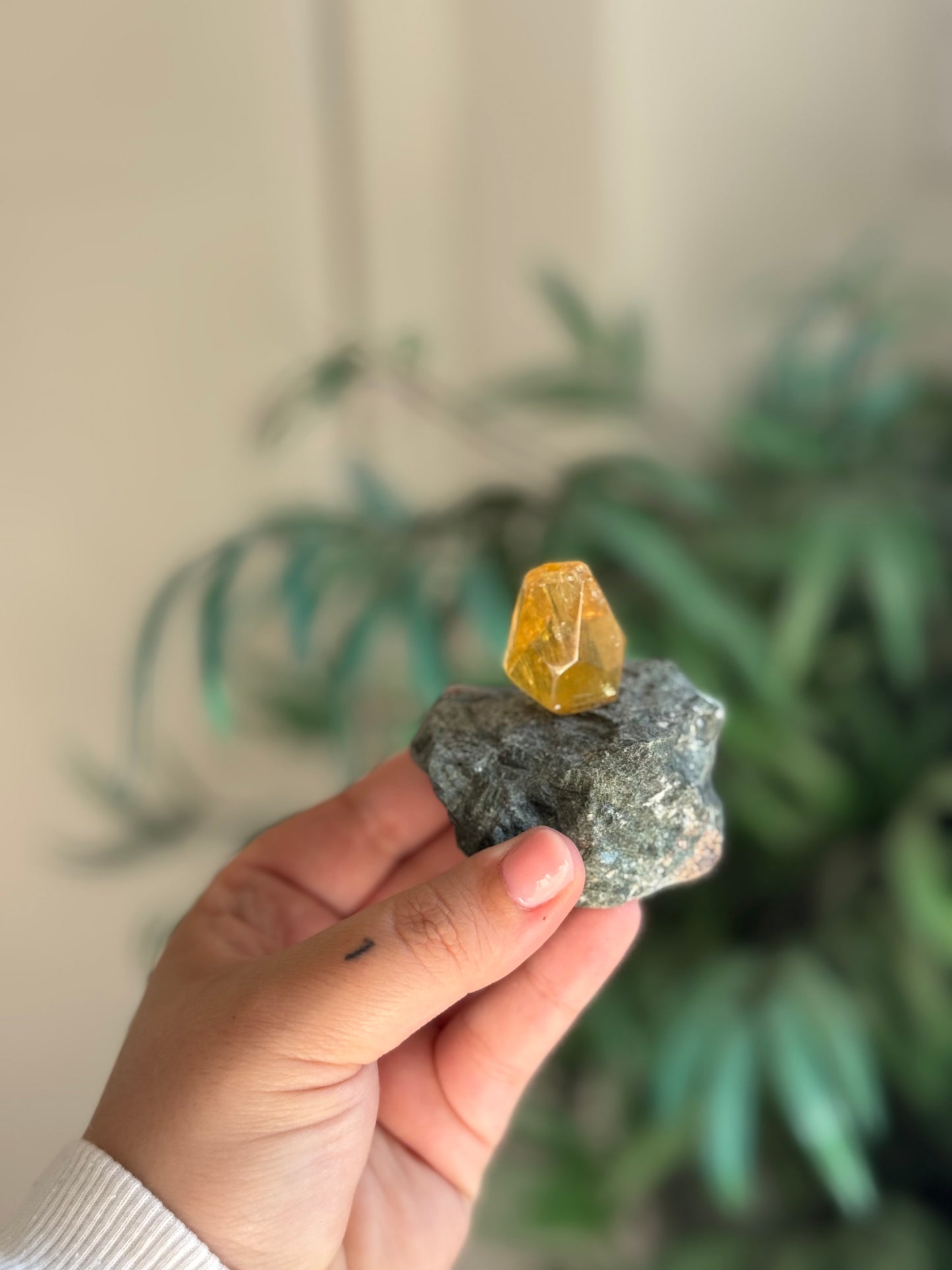 Crecimiento de fluorita amarilla en base de piedra