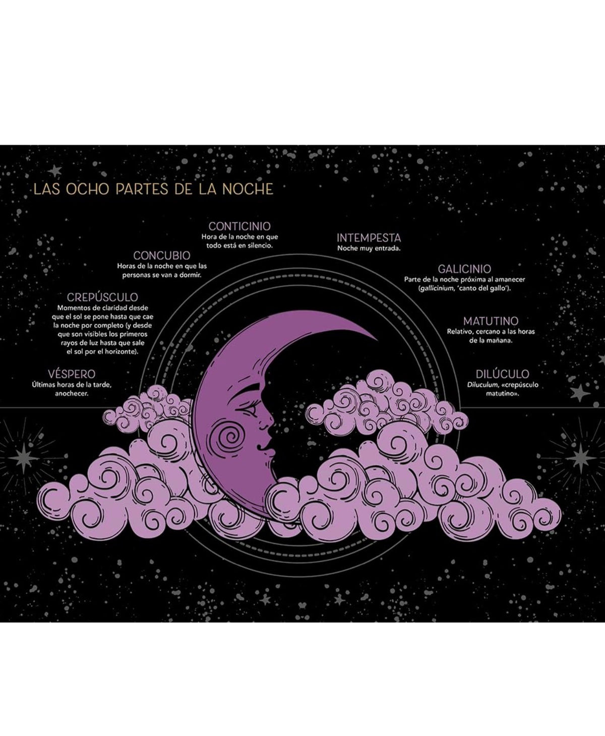 Bruja de noche