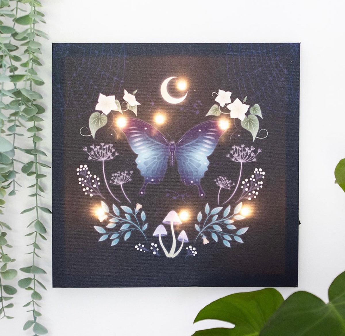 PLACA DE LIENZO ILUMINADA «MIDNIGHT MOTH»