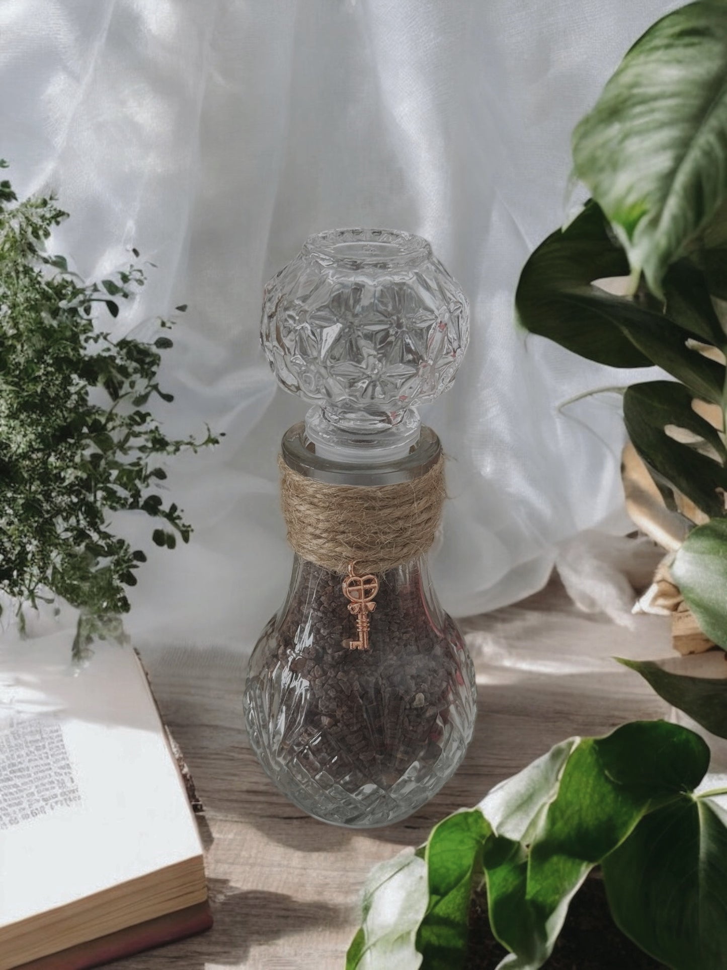 Sal Negra (protección )