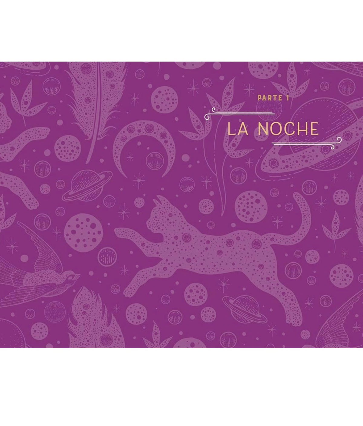Bruja de noche