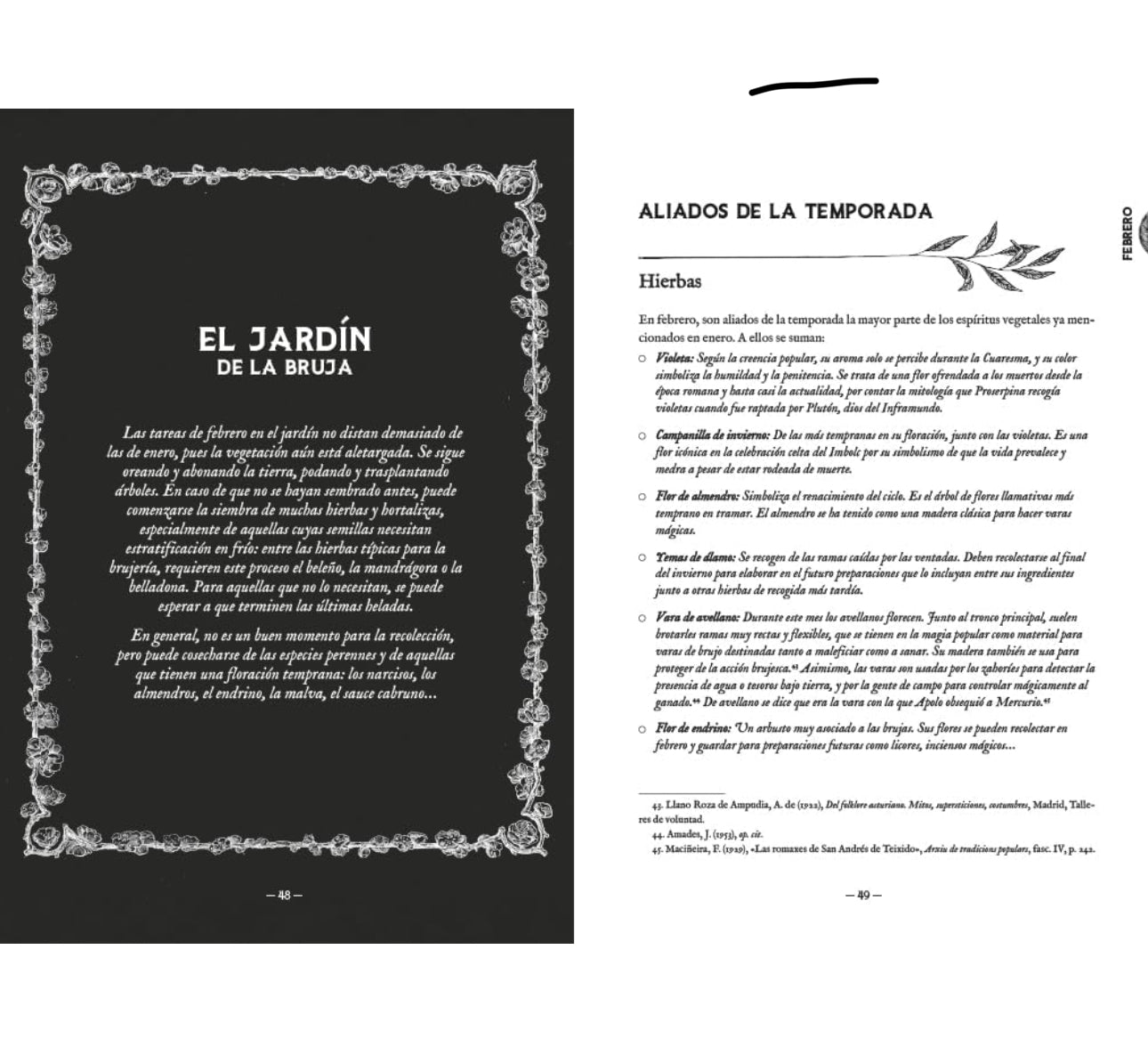 EL AÑO DE LA BRUJA VERDE - RITUALES Y PRACTICAS TRADICIONALES PARA VIVIR LA MAGIA A TRAVES DE LAS ESTACIONES