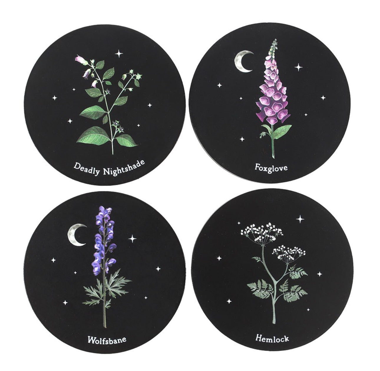 Juego de posavasos de plantas