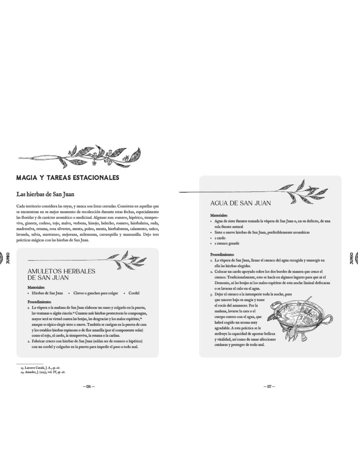 Almanaque de la bruja tradicional: Rituales, magia y folklore a lo largo del año