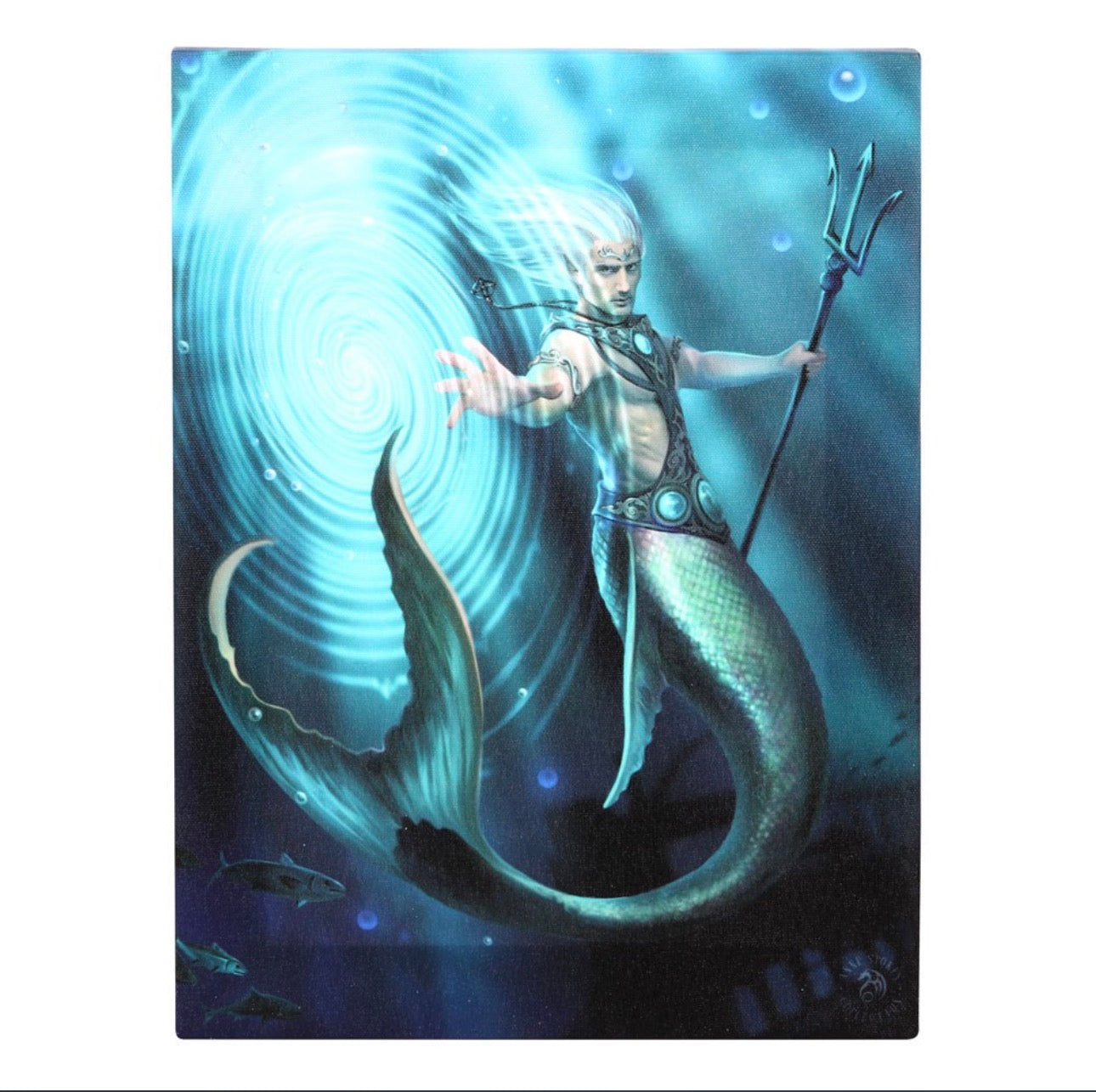 PLACA DE LIENZO DE MAGO DEL ELEMENTO AGUA DE 19X25 CM DE ANNE STOKES