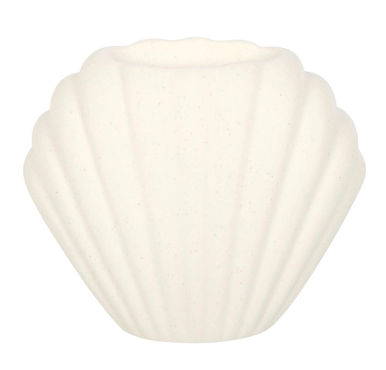 QUEMADOR DE ACEITE DE CONCHAS MARINAS