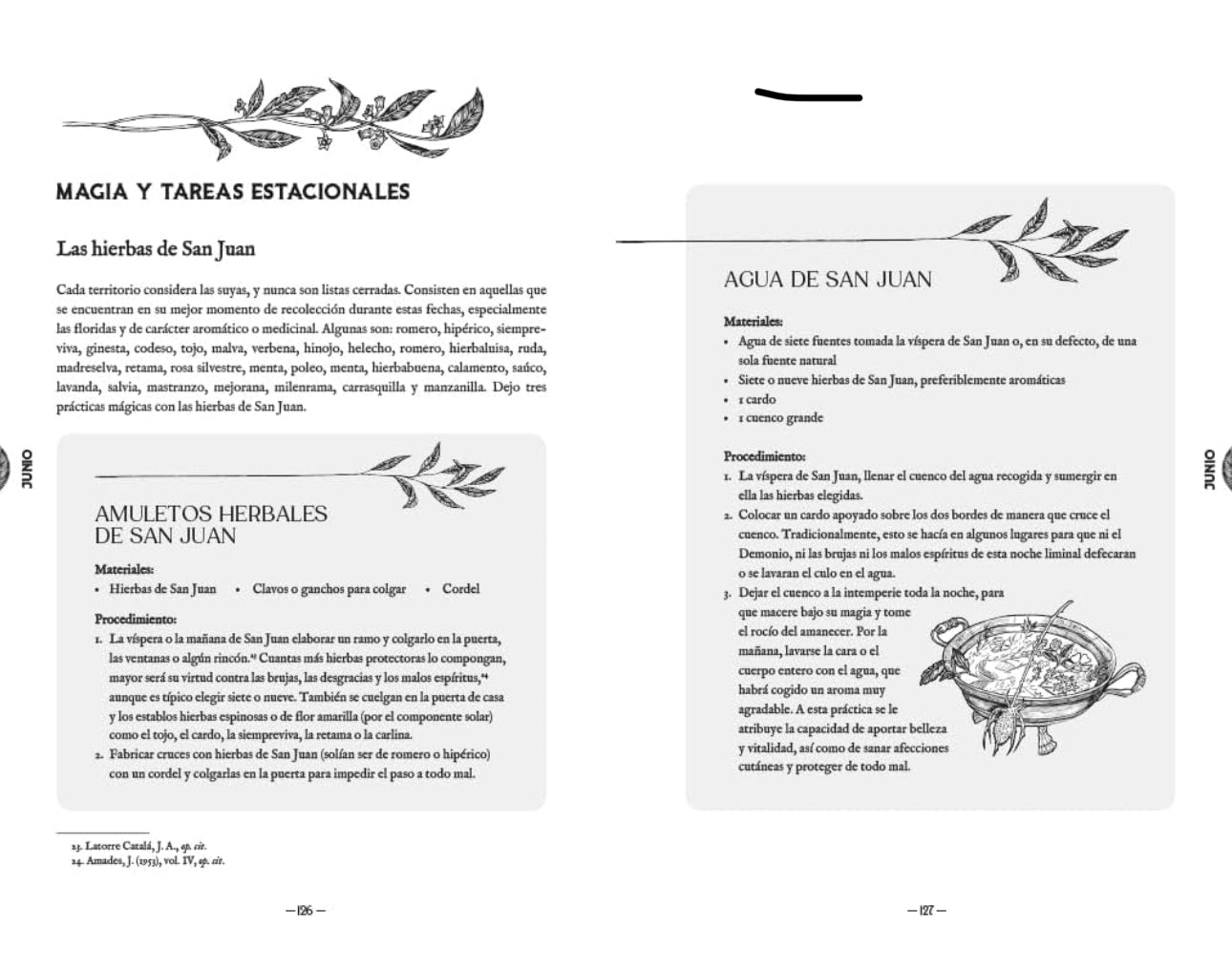 EL AÑO DE LA BRUJA VERDE - RITUALES Y PRACTICAS TRADICIONALES PARA VIVIR LA MAGIA A TRAVES DE LAS ESTACIONES