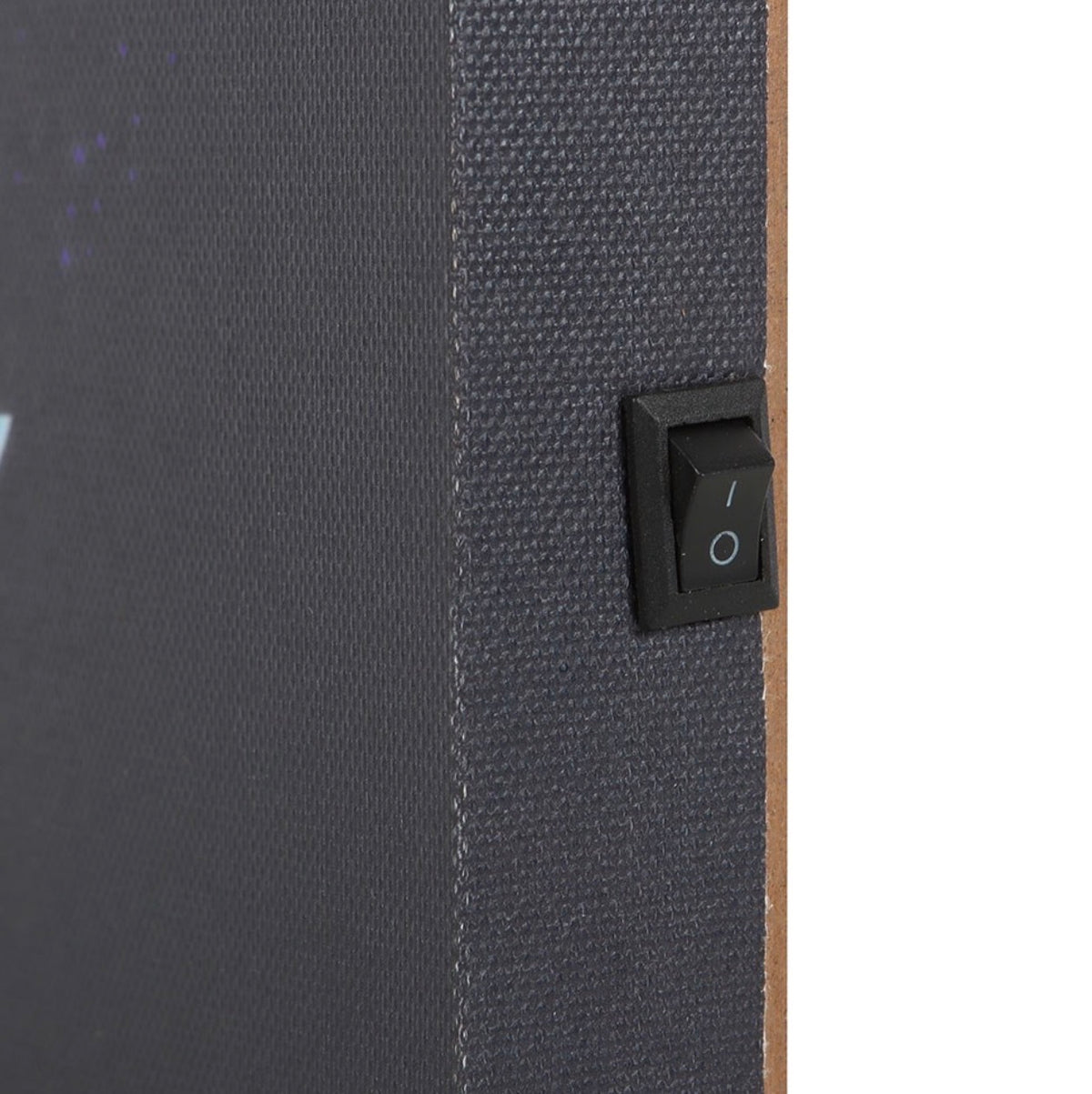 PLACA DE LIENZO ILUMINADA «MIDNIGHT MOTH»