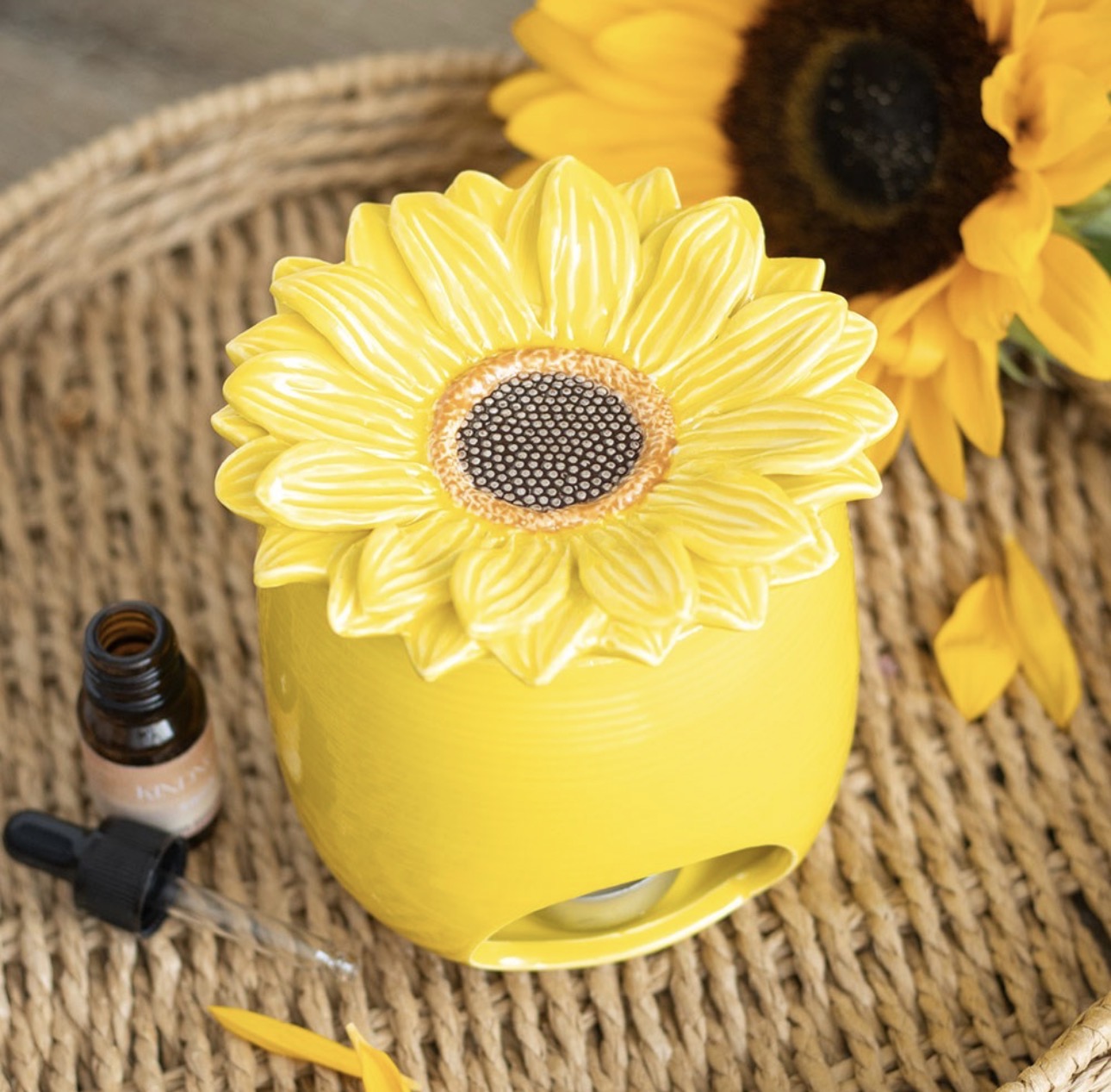 QUEMADOR DE ACEITE DE GIRASOL Y CALENTADOR DE CERA