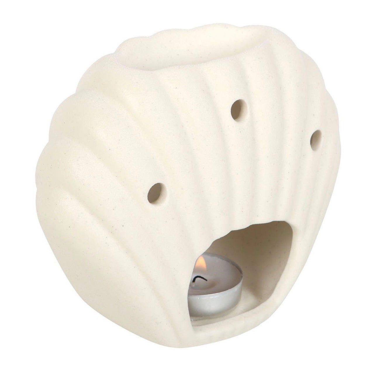 QUEMADOR DE ACEITE DE CONCHAS MARINAS