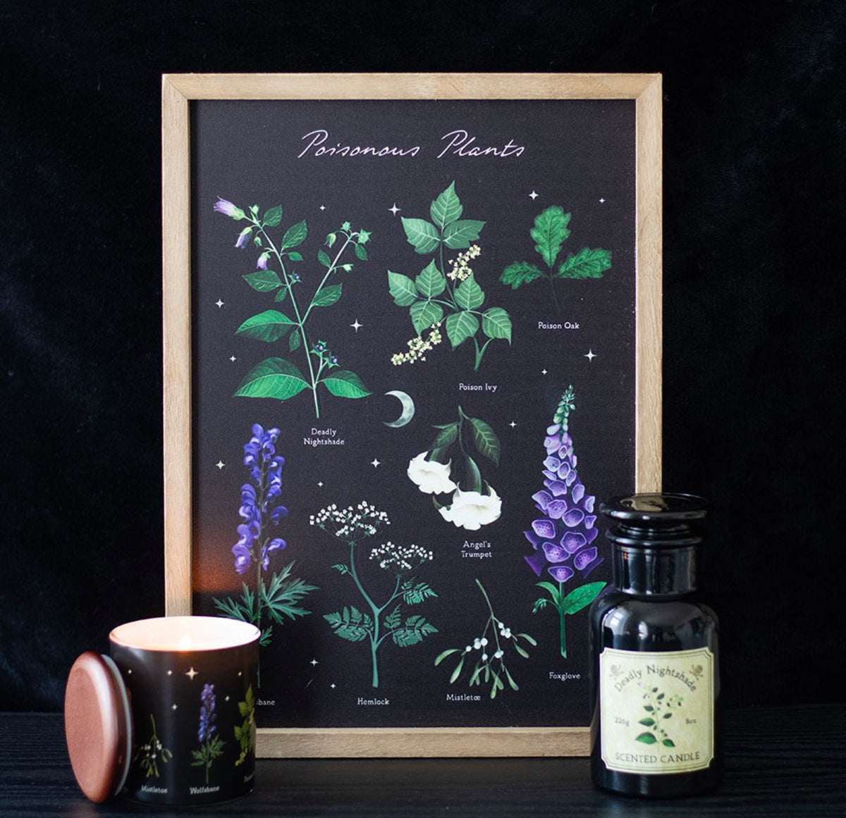 Lámina artística enmarcada de plantas