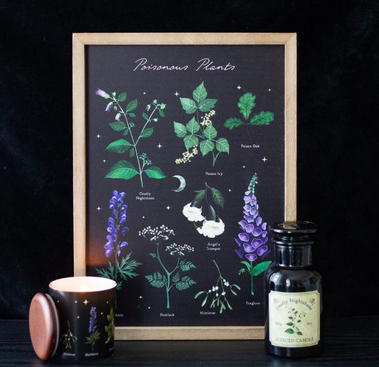 Lámina artística enmarcada de plantas