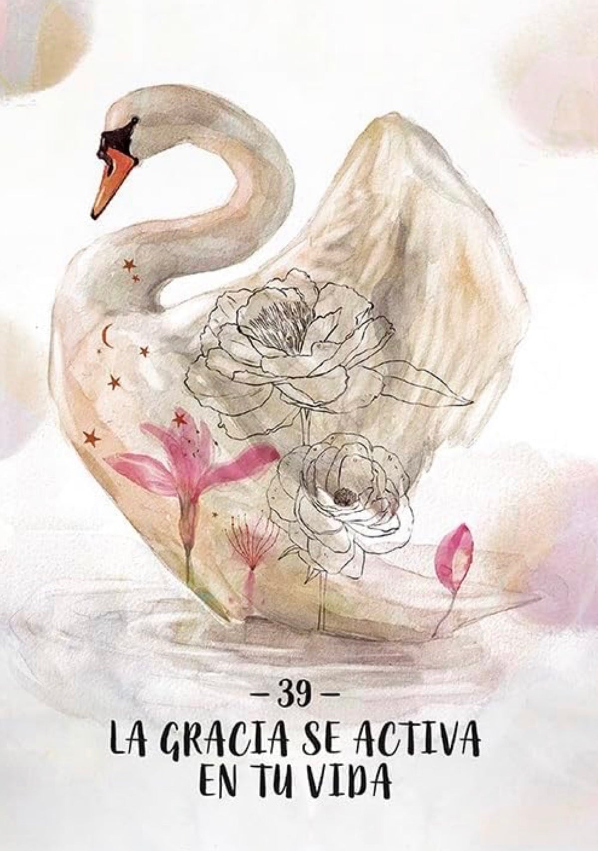 La hermandad de las videntes, Oráculo: 44 cartas y libro guía