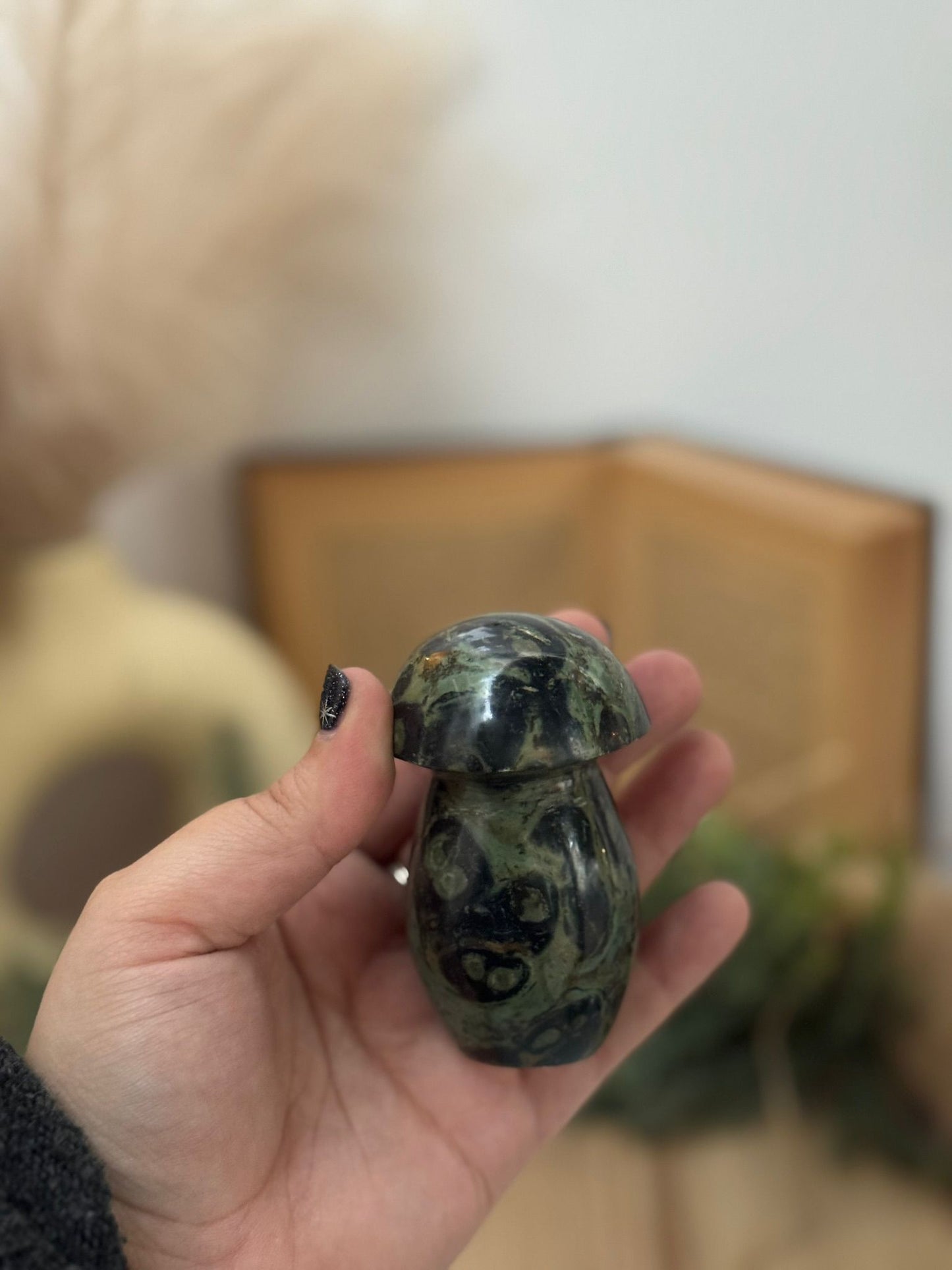 Champiñón de Jaspe Kambaba