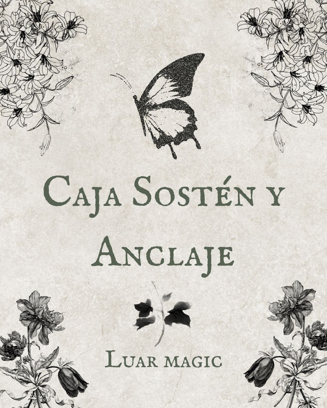 Caja Sostén y Anclaje unidades limitadas