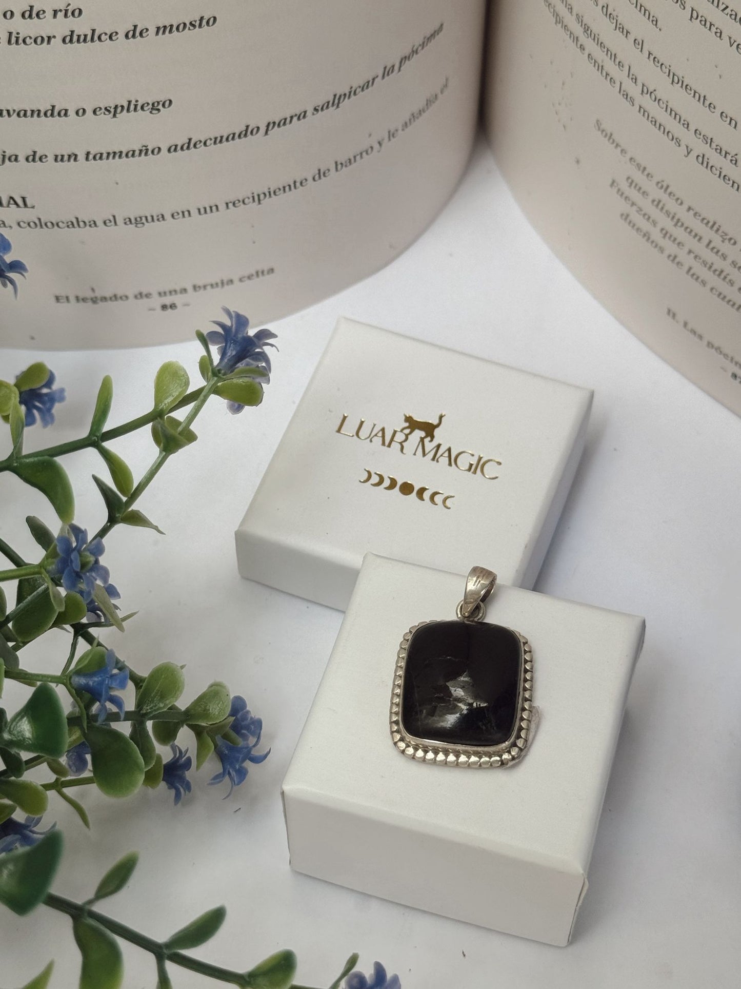 Colgante de Turmalina Negra en Plata de Ley 925