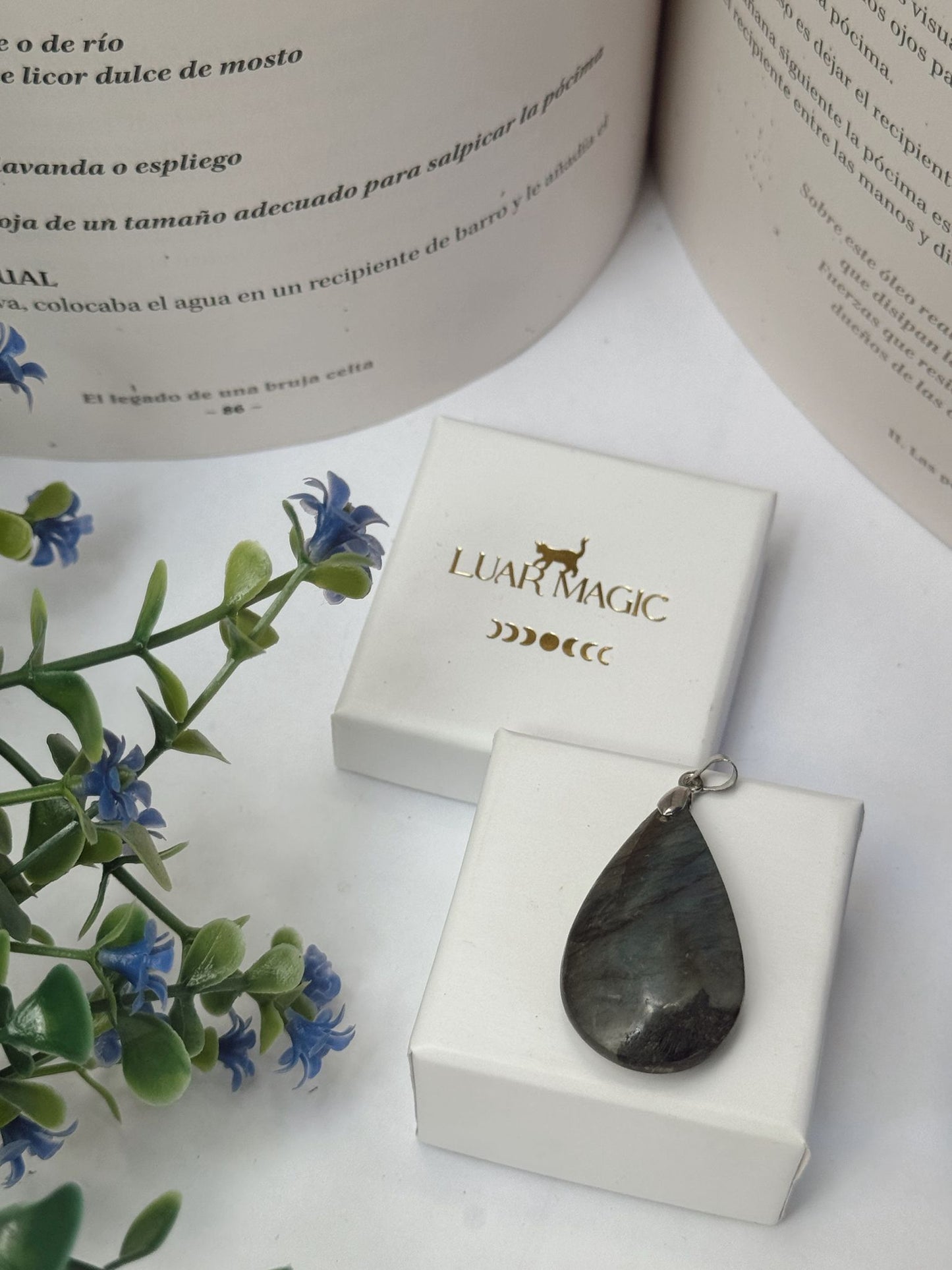 Colgante de Labradorita en Plata de Ley 925