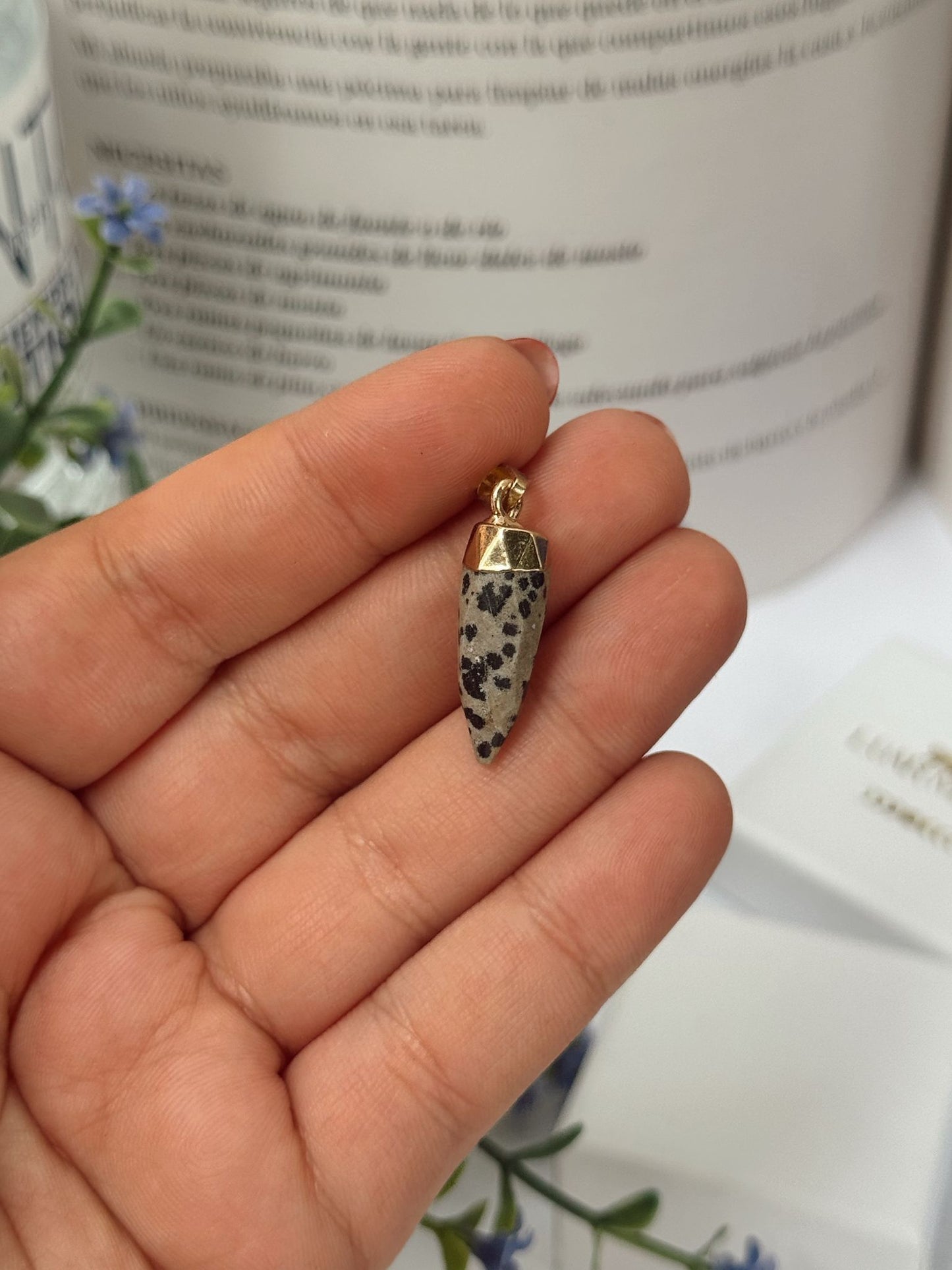 Colgante Colmillo de Jaspe Dálmata en Acero Inoxidable