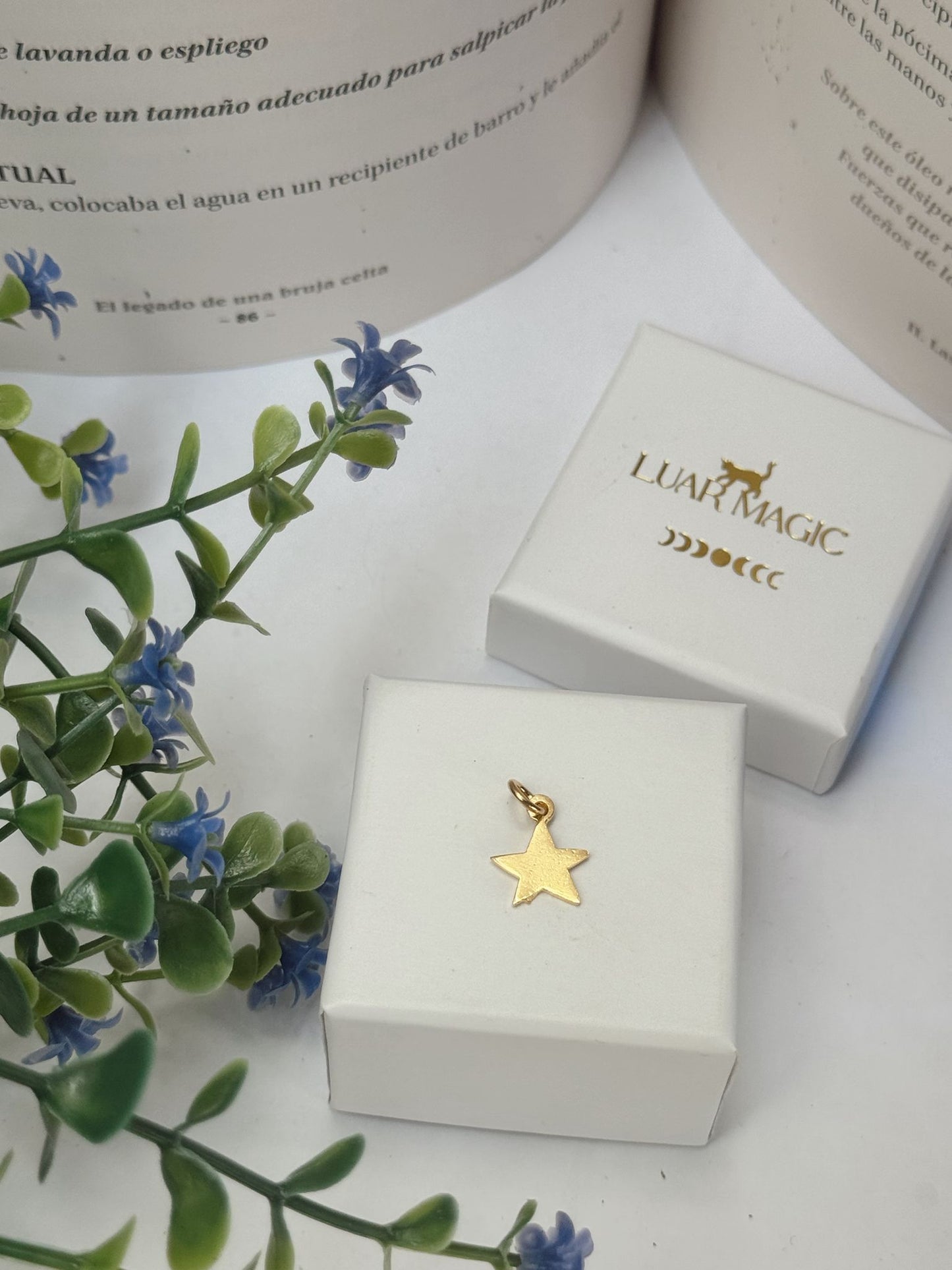 Colgante Exclusivo Estrella en Plata de Ley 925 Chapada en Oro 24K