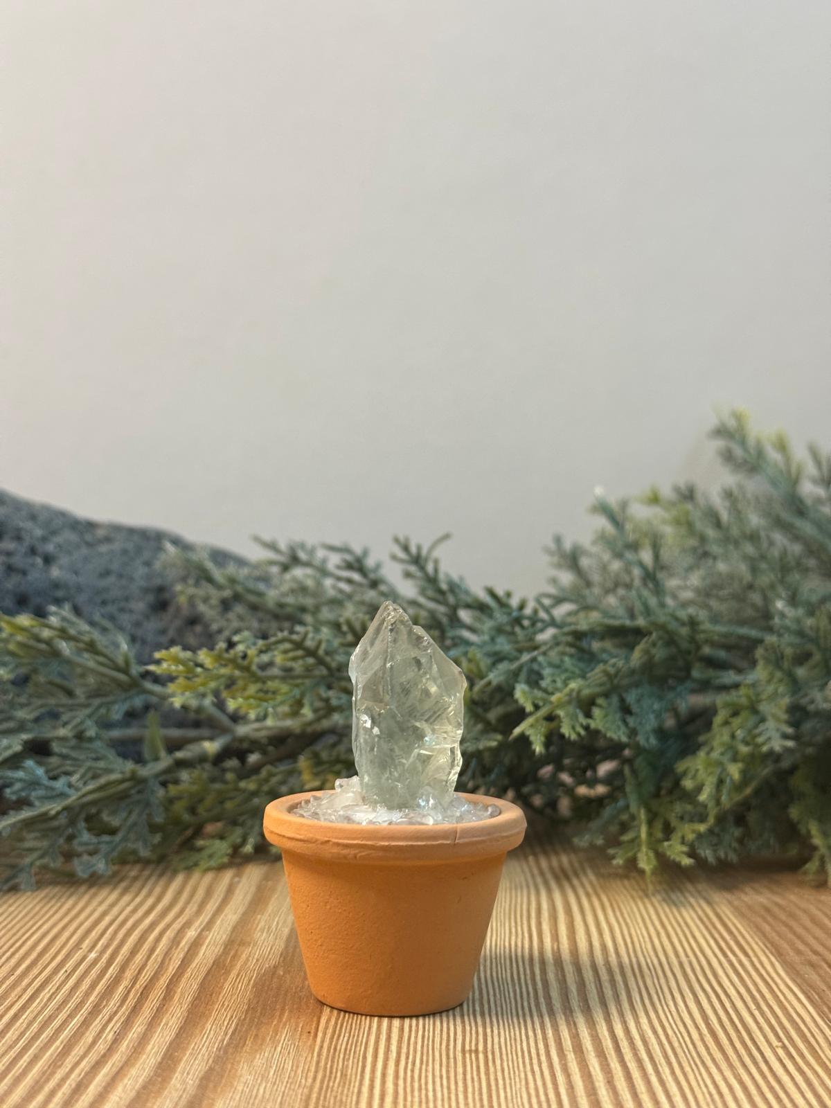 Maceta fluorita